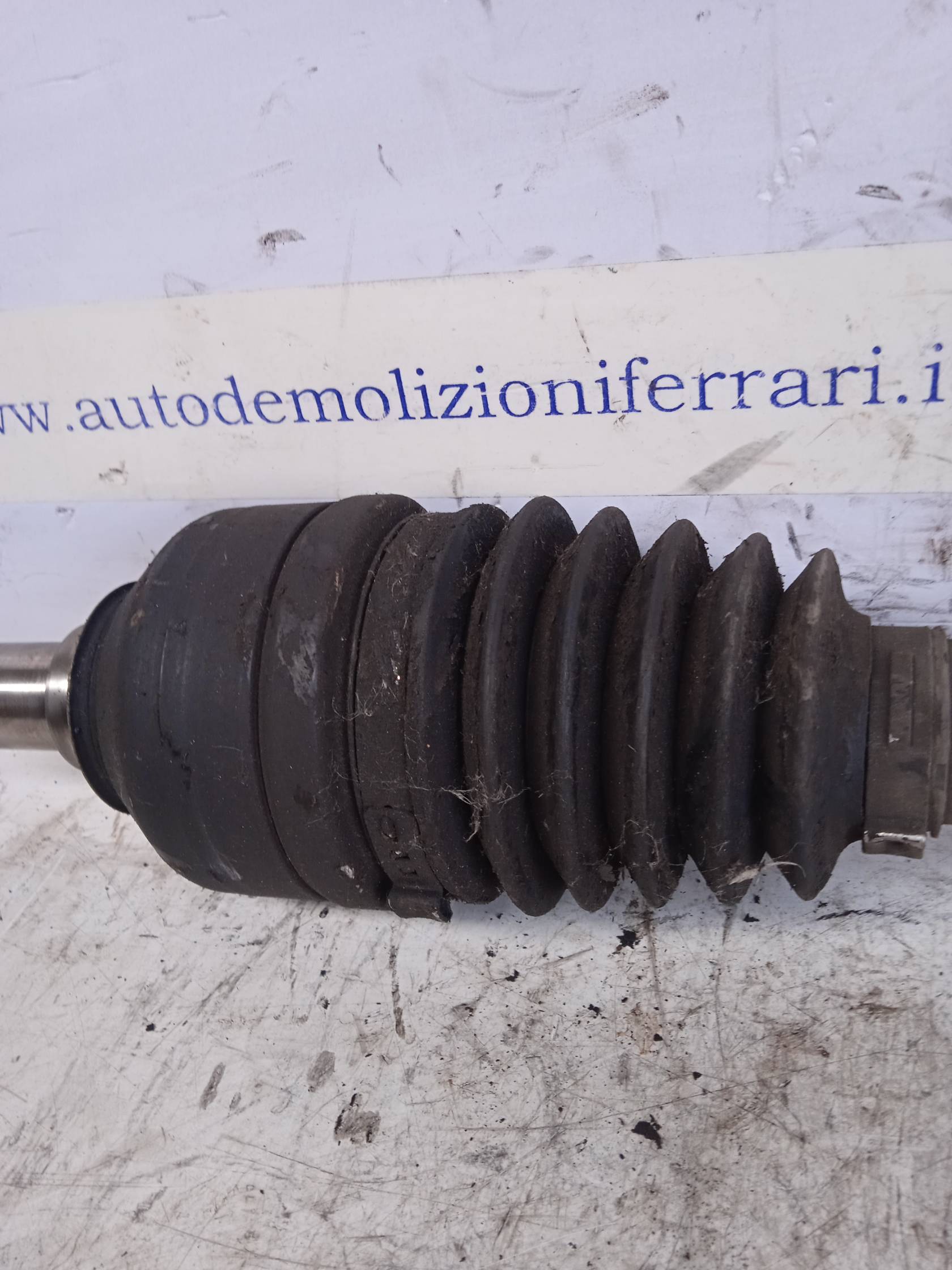 Semialbero ant. compl. sx.