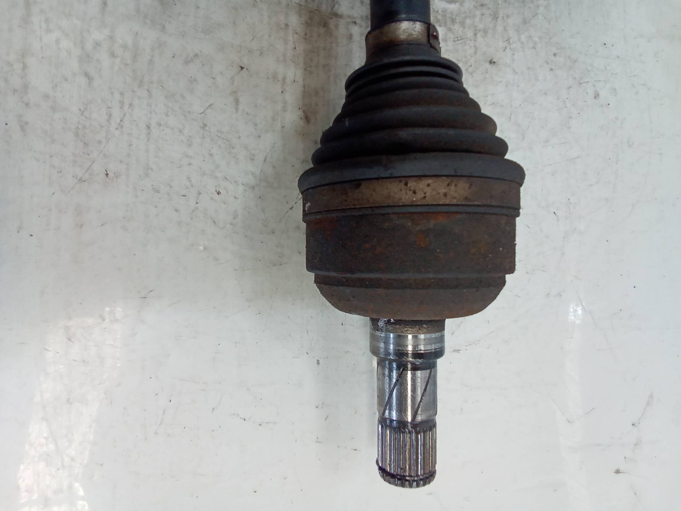 Semialbero ant. compl. sx.