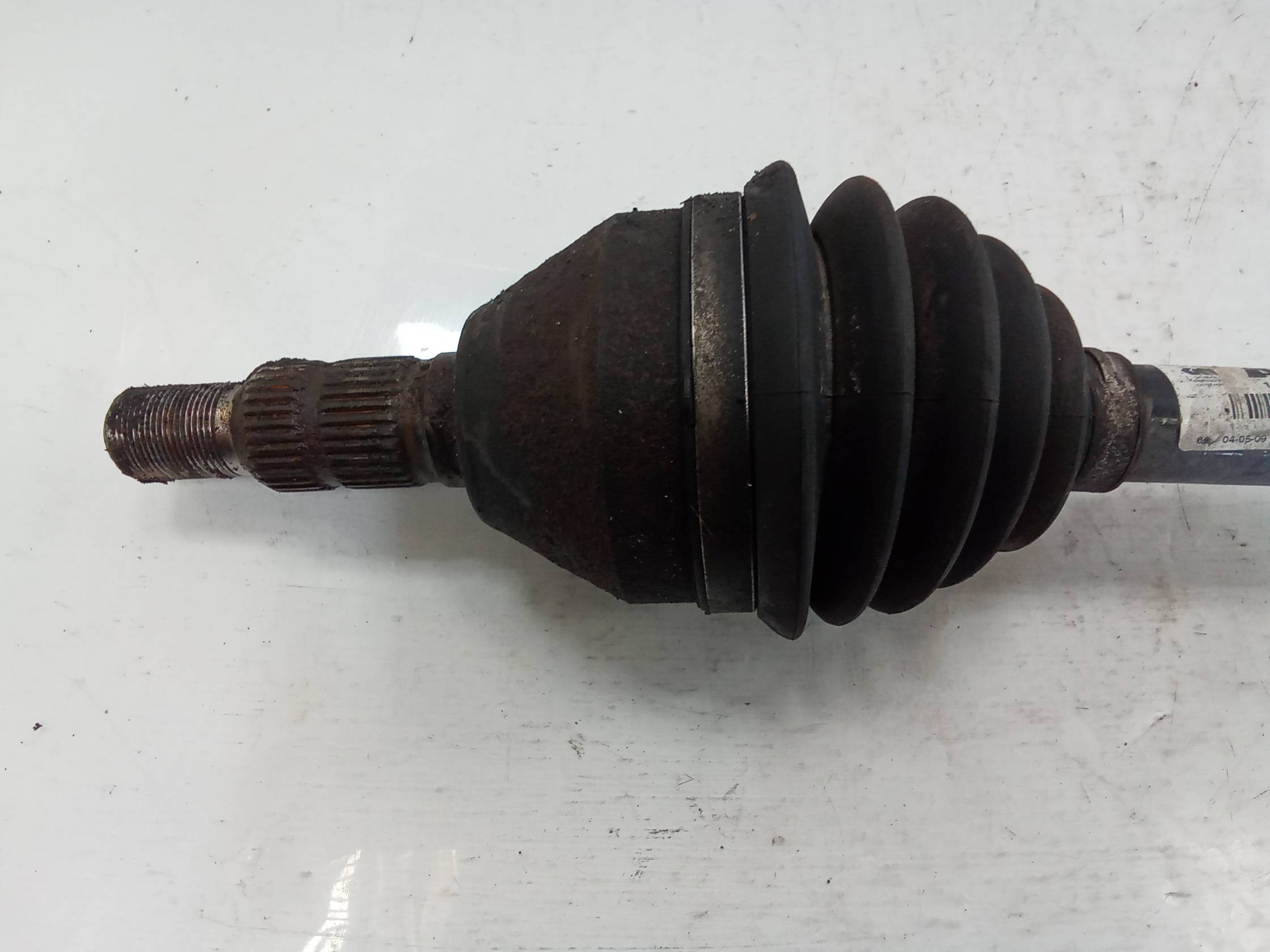 Semialbero ant. compl. dx.