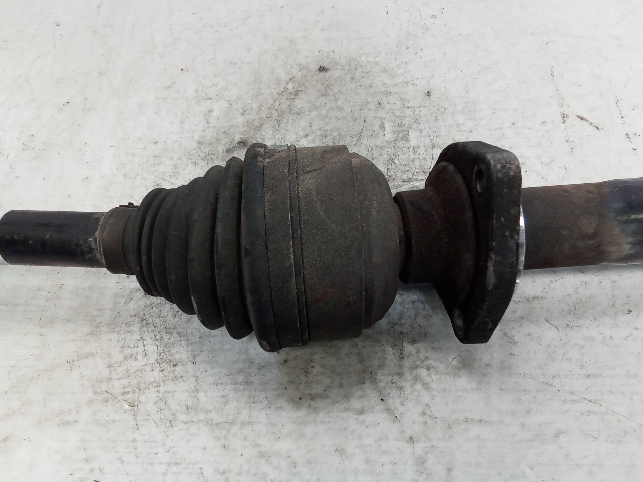 Semialbero ant. compl. dx.