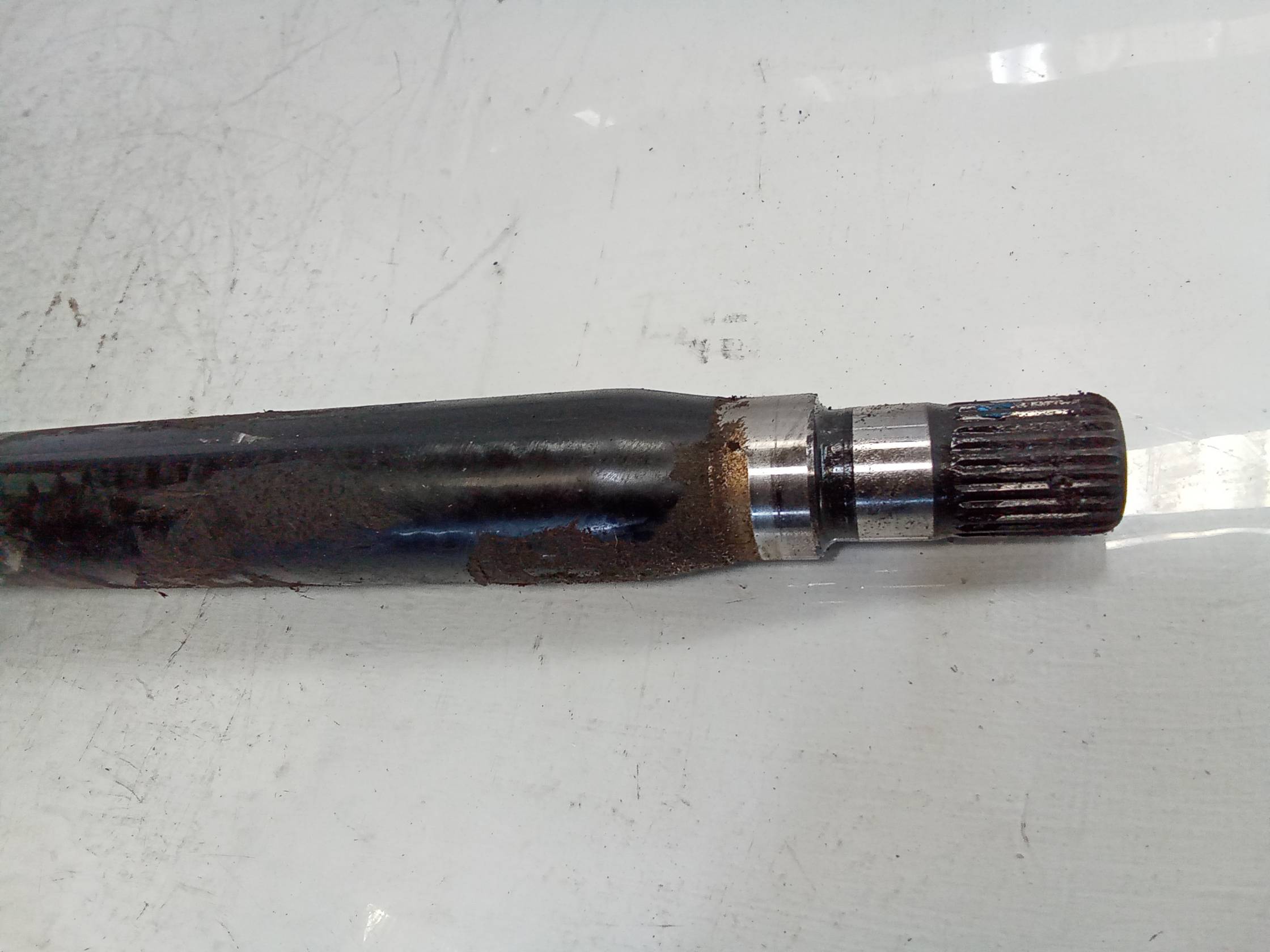 Semialbero ant. compl. dx.