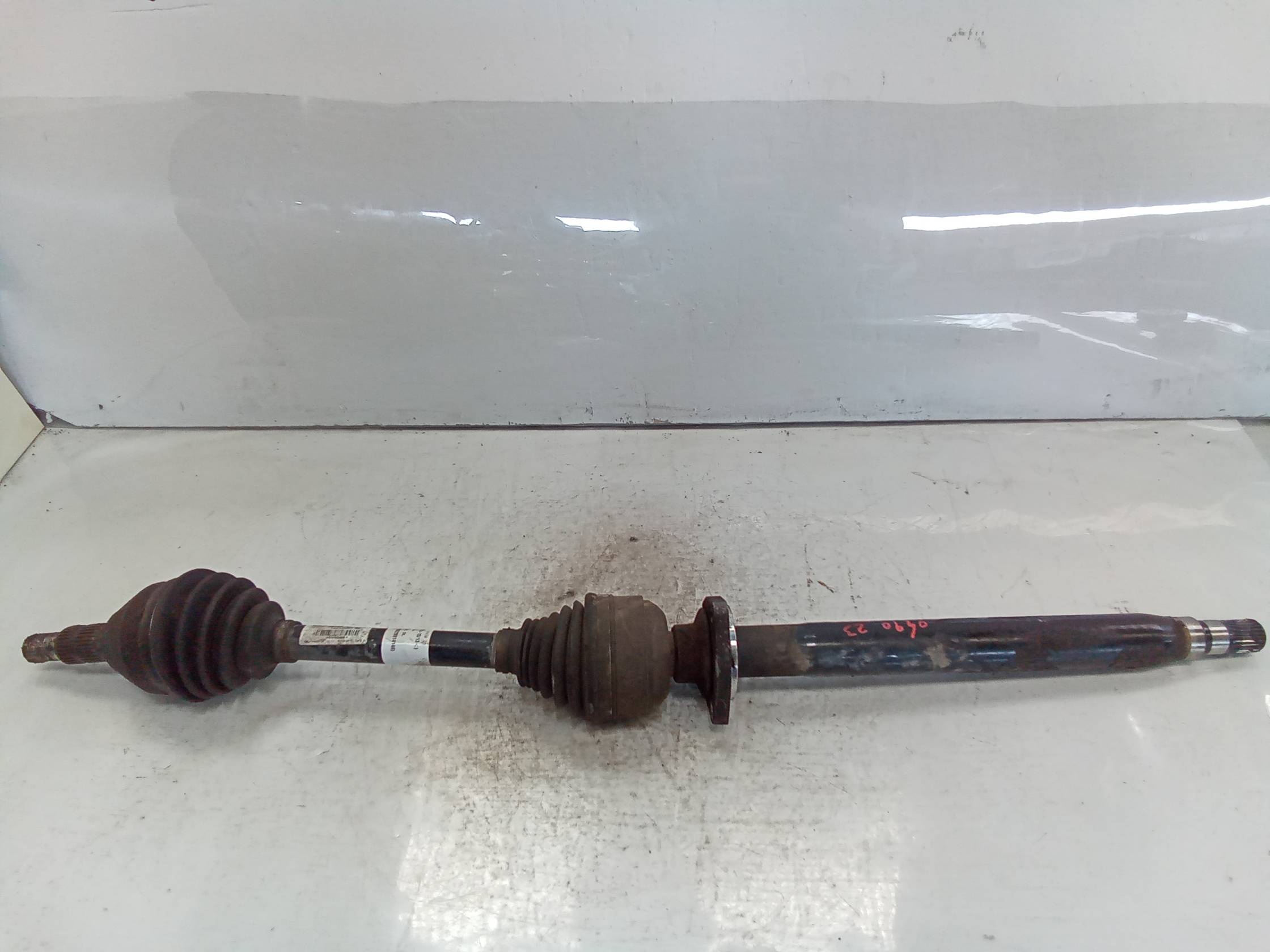 Semialbero ant. compl. dx.