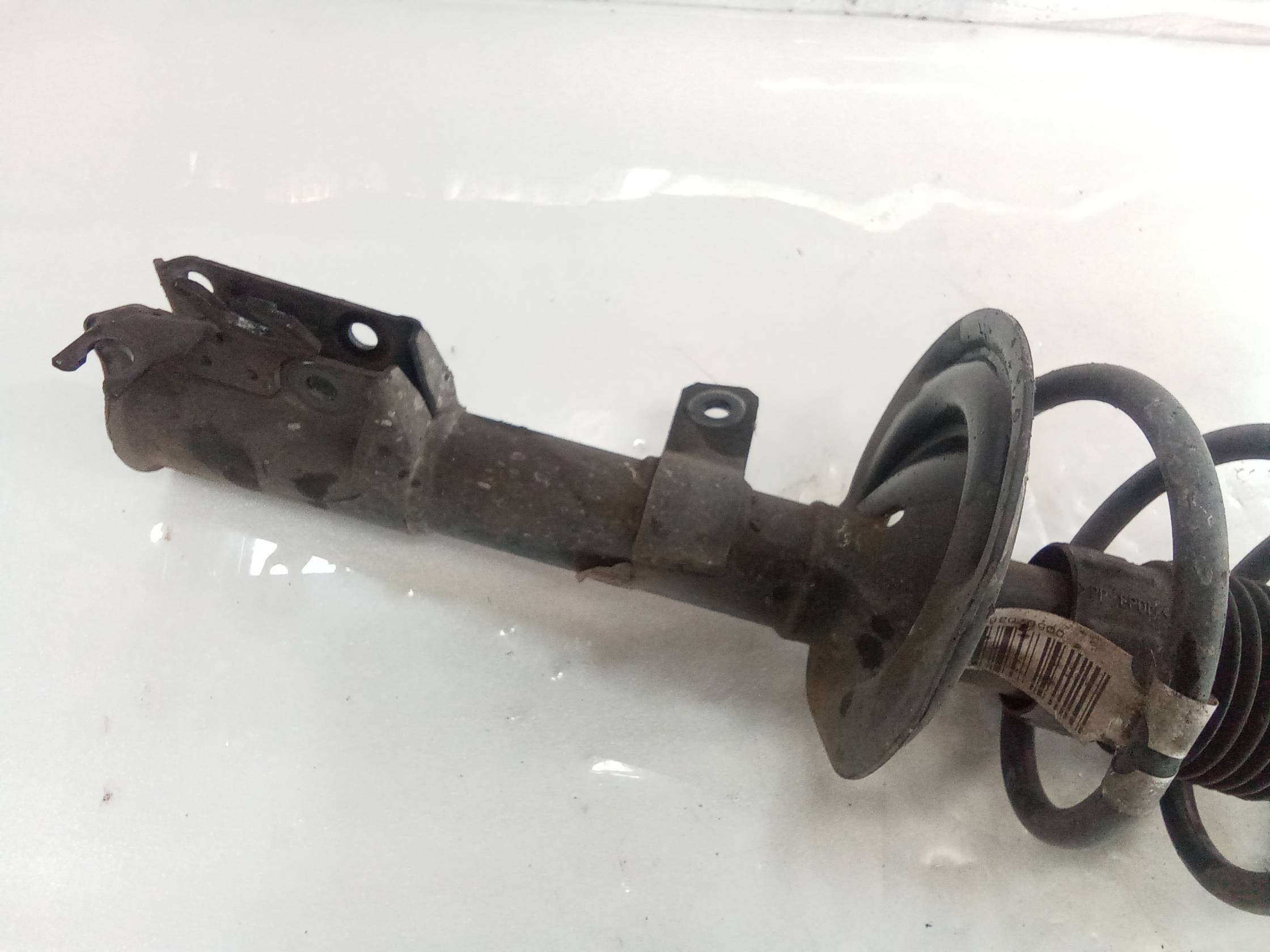 Ammortizzatore ant. sx.