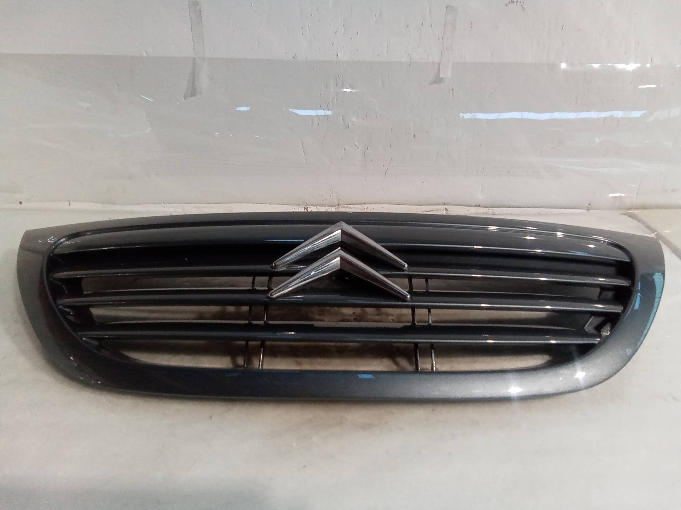 Griglia centr. paraurti ant.