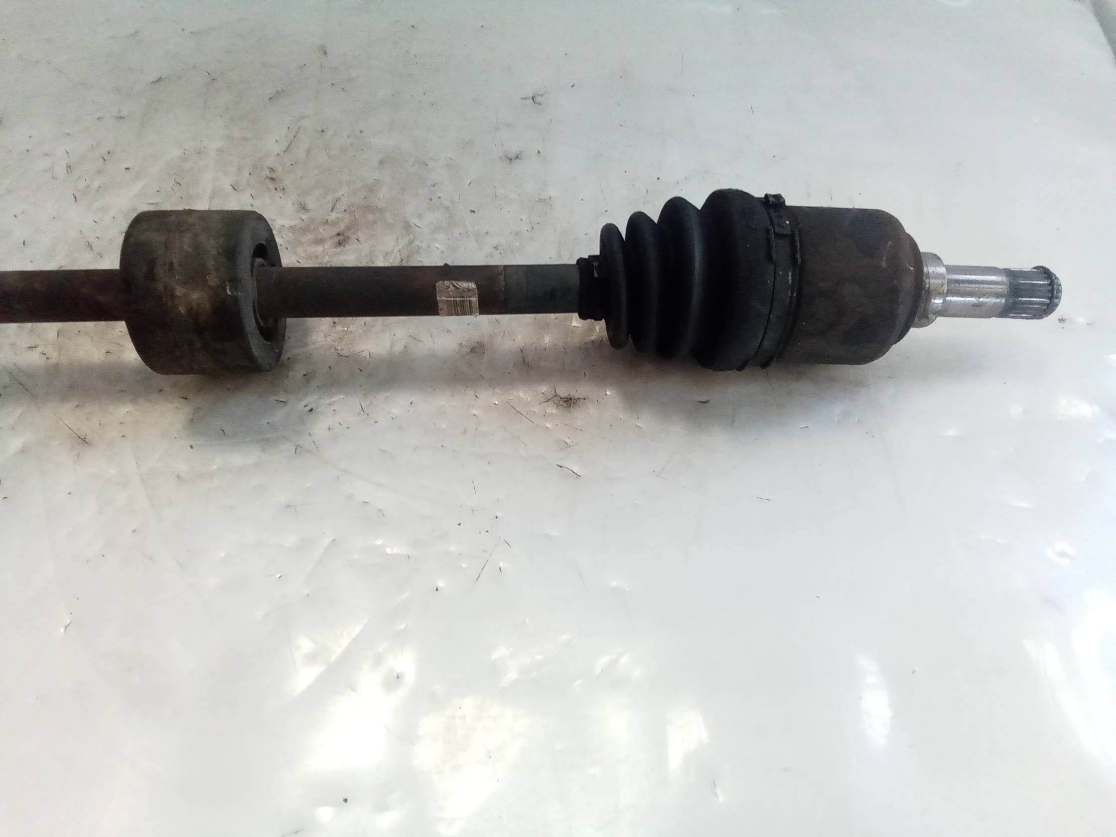 Semialbero ant. compl. dx.