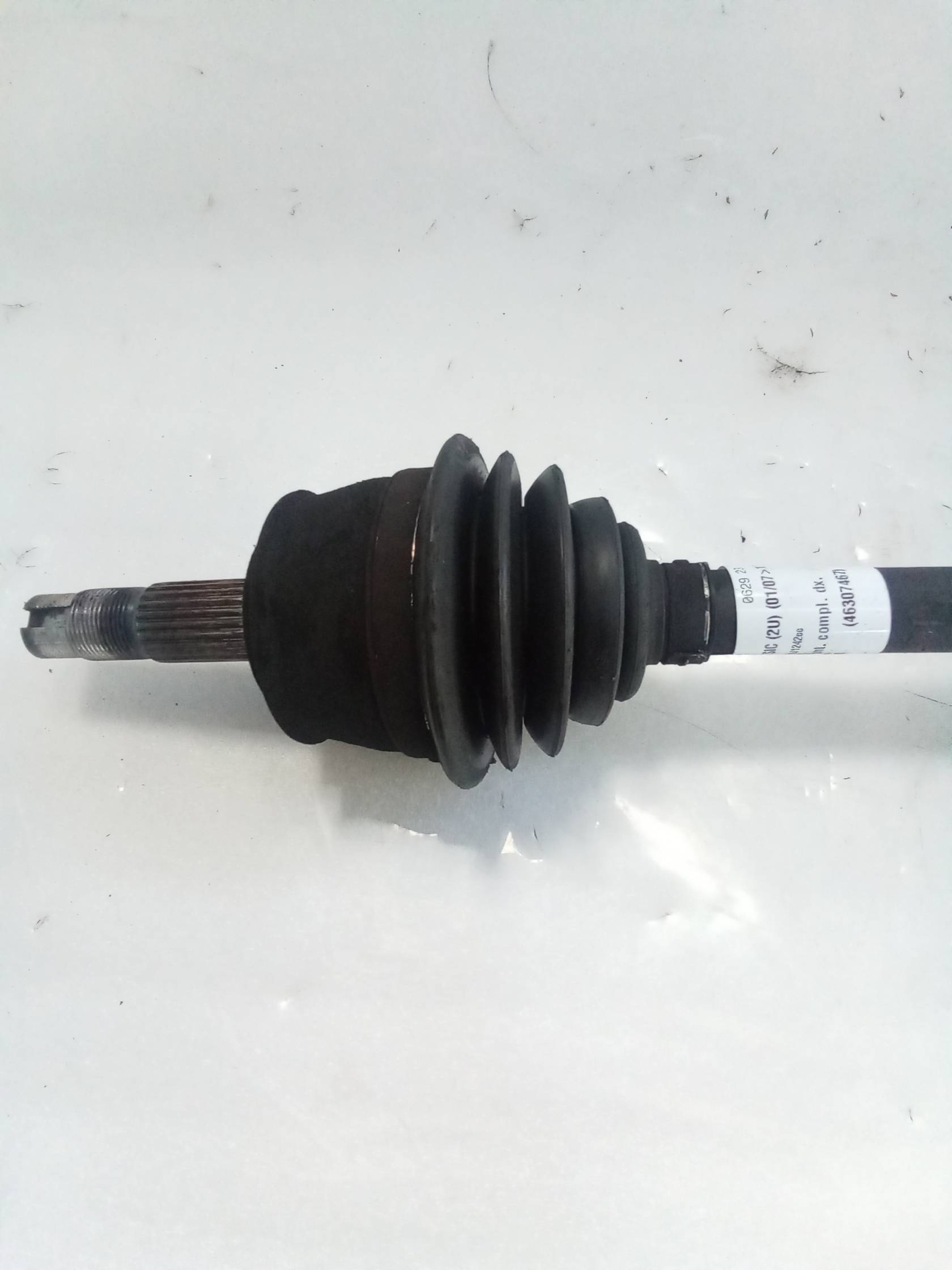 Semialbero ant. compl. dx.