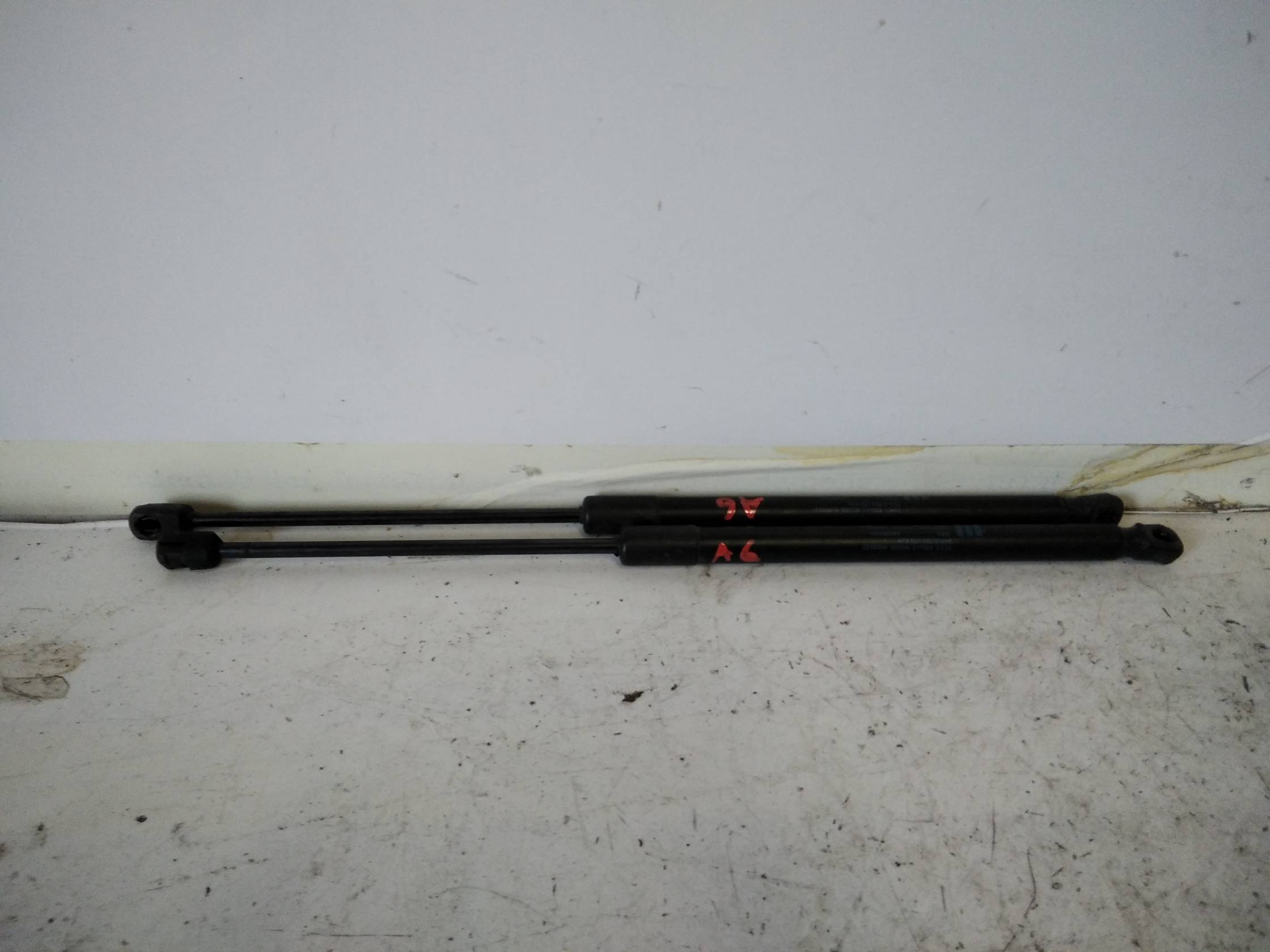 Asta ammortizzante portello post. sx.