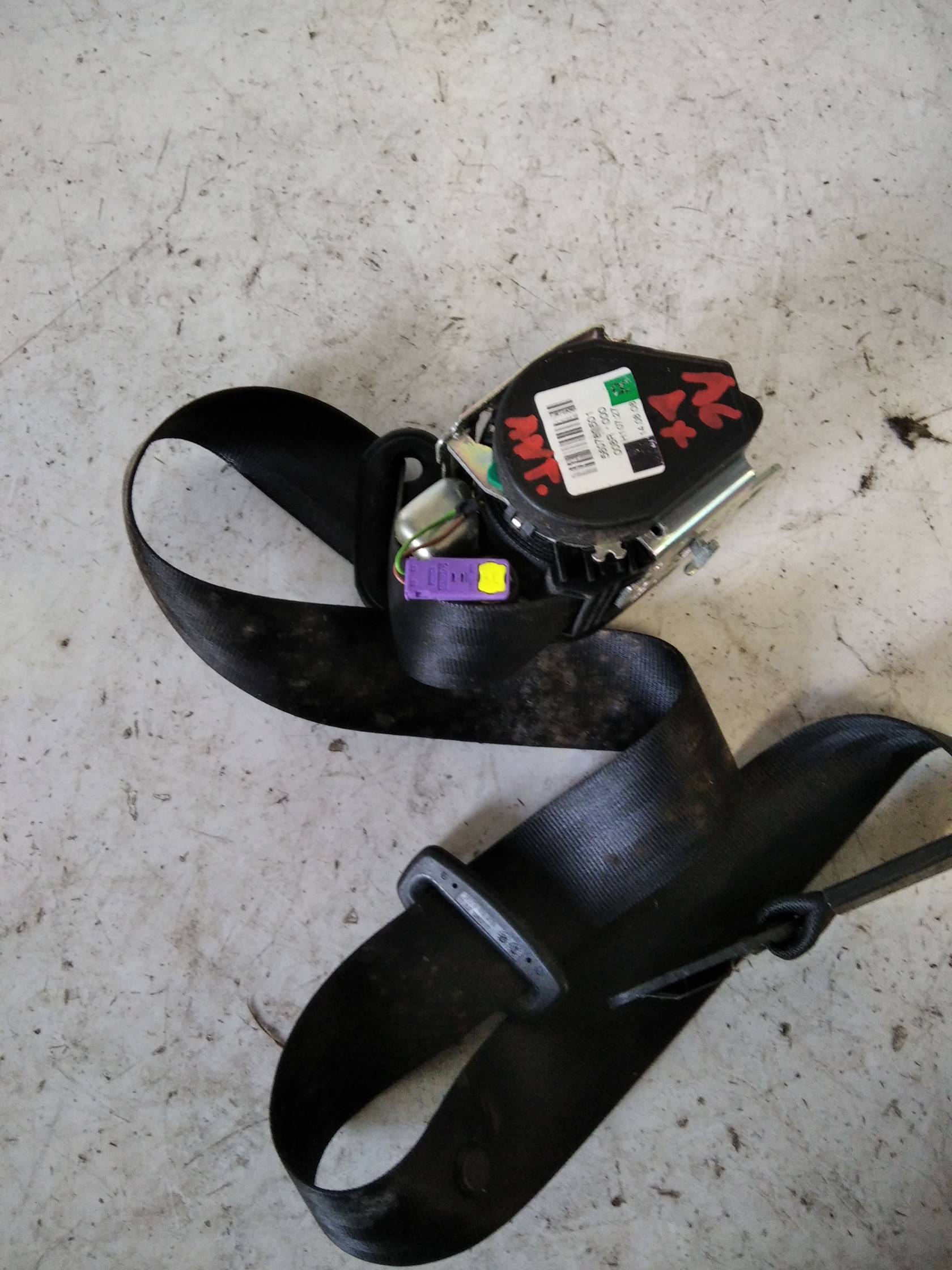 Cintura di sicurezza ant. dx.