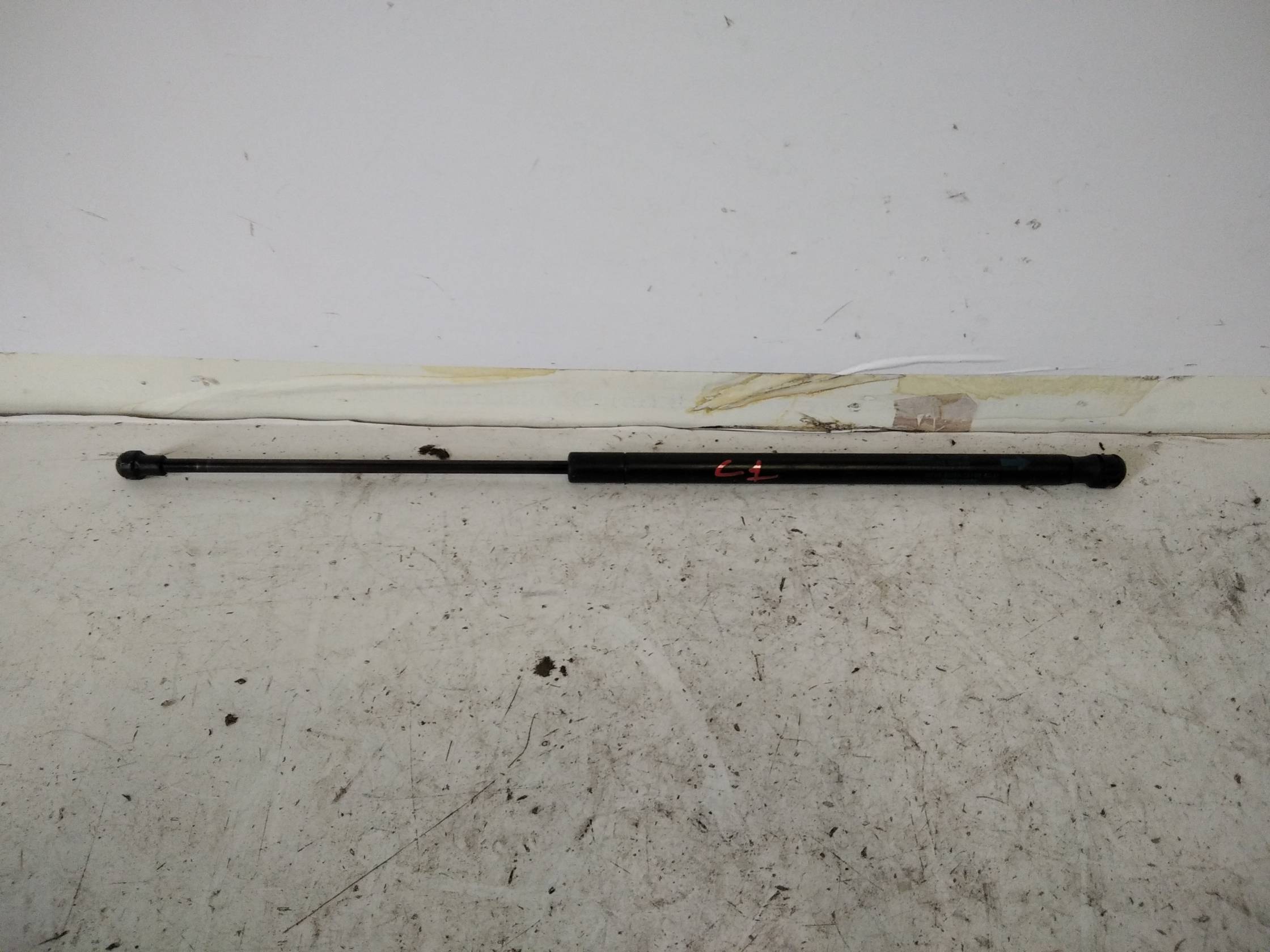 Asta ammortizzante lunotto