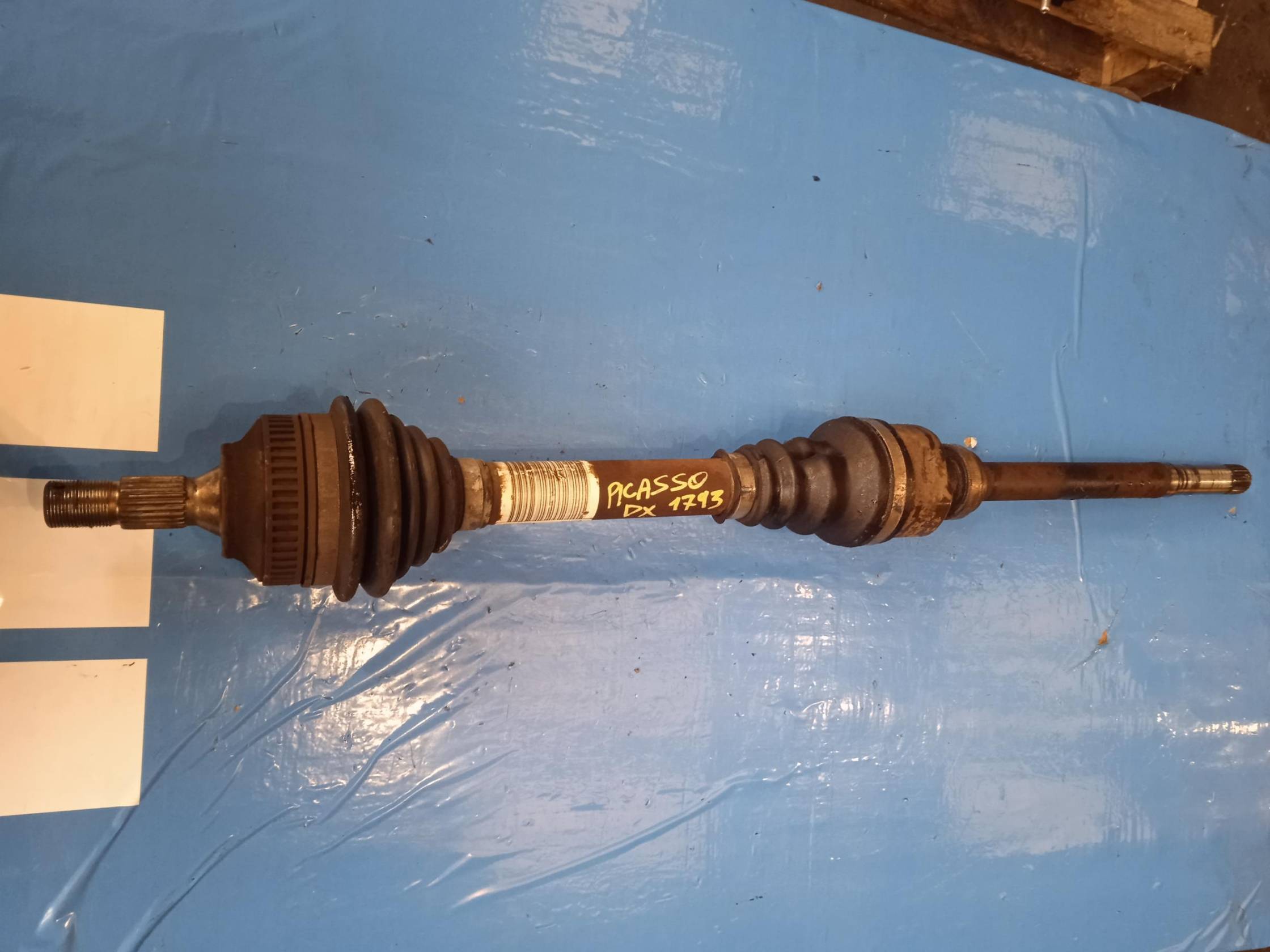 Semialbero ant. compl. dx.