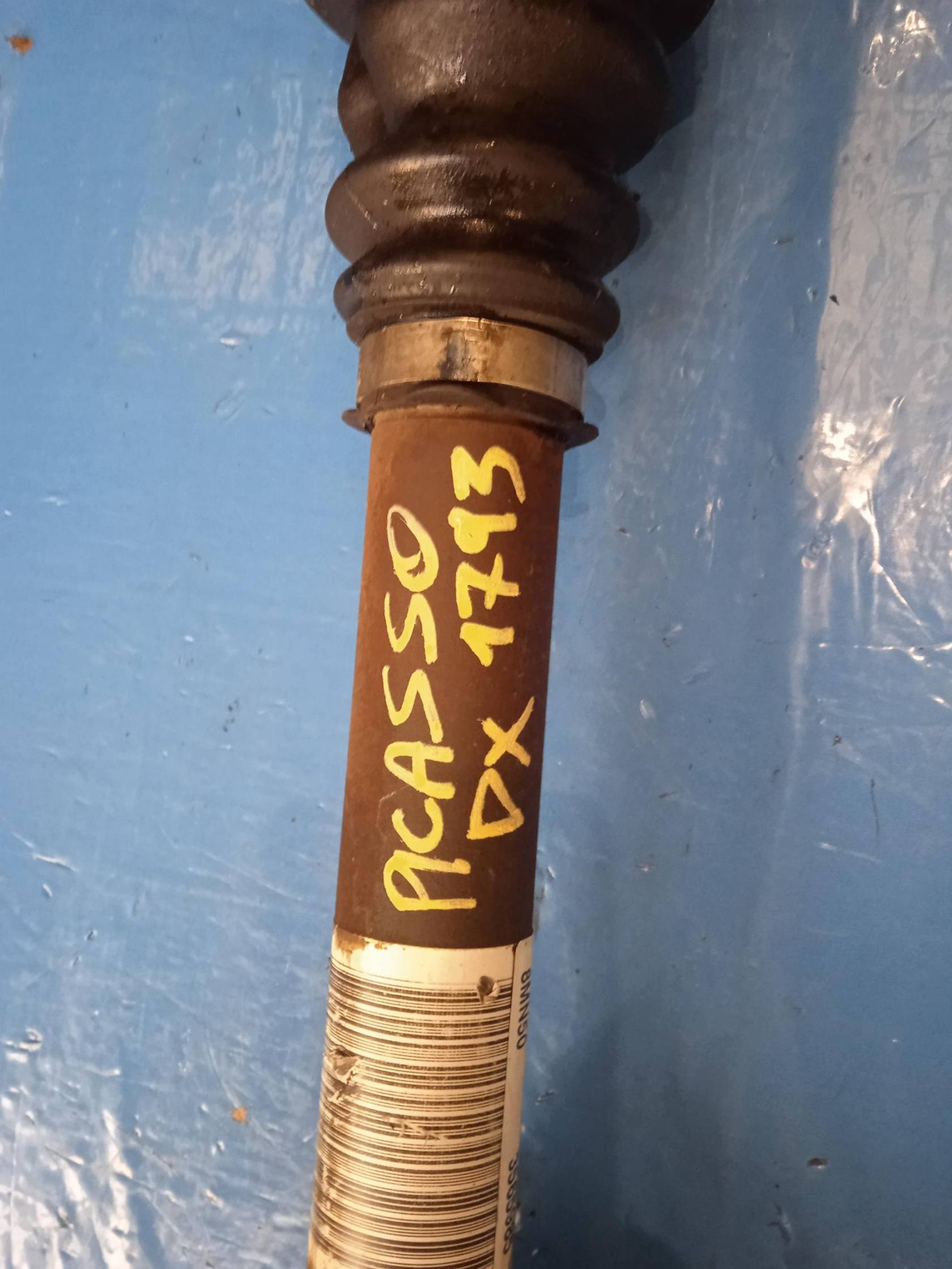 Semialbero ant. compl. dx.