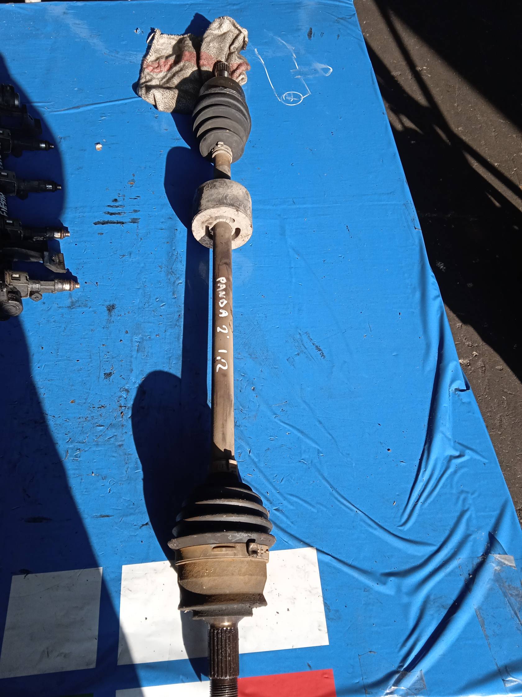 Semialbero ant. compl. dx. Semialbero ant. compl. dx.