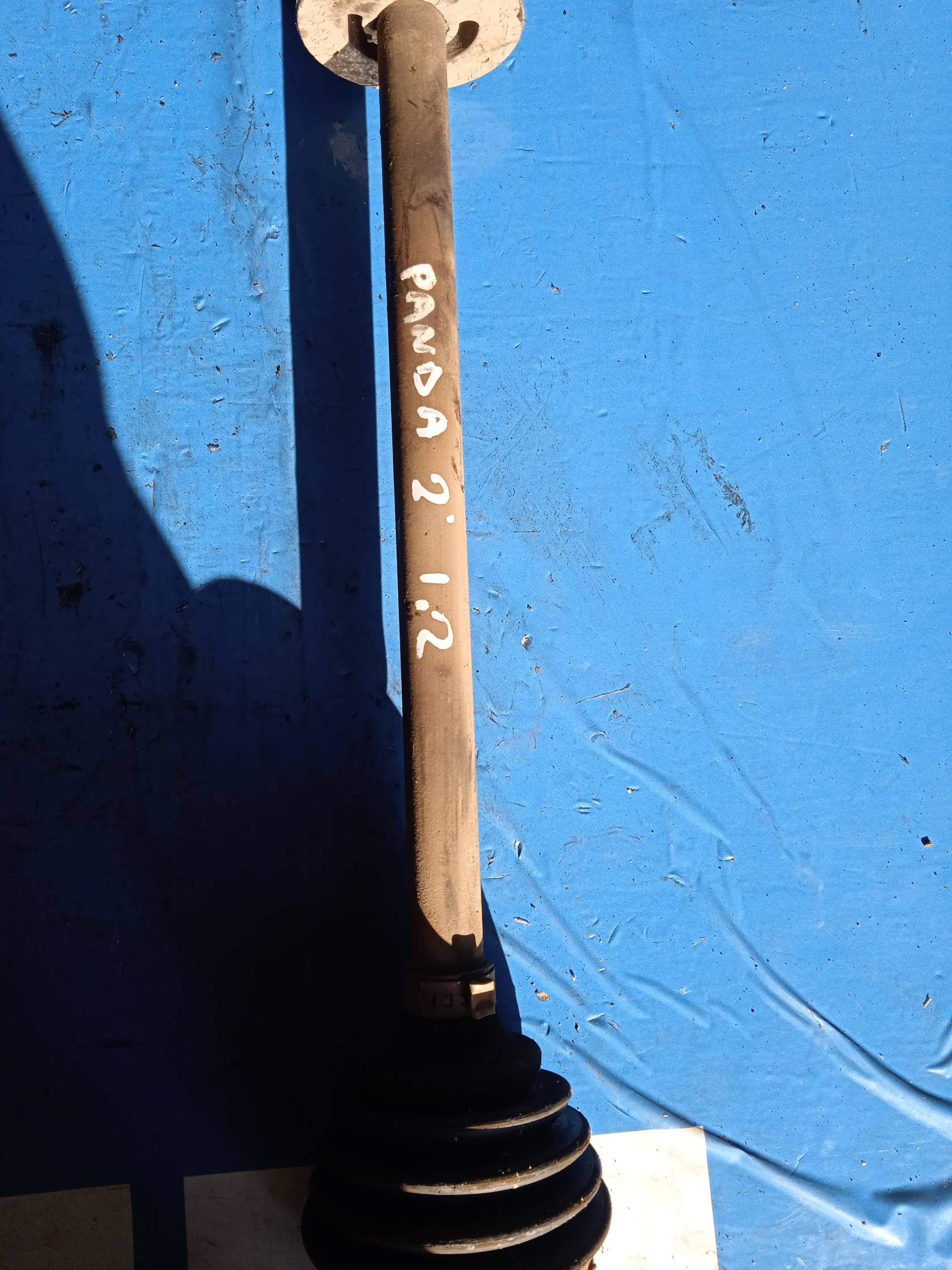 Semialbero ant. compl. dx. Semialbero ant. compl. dx.