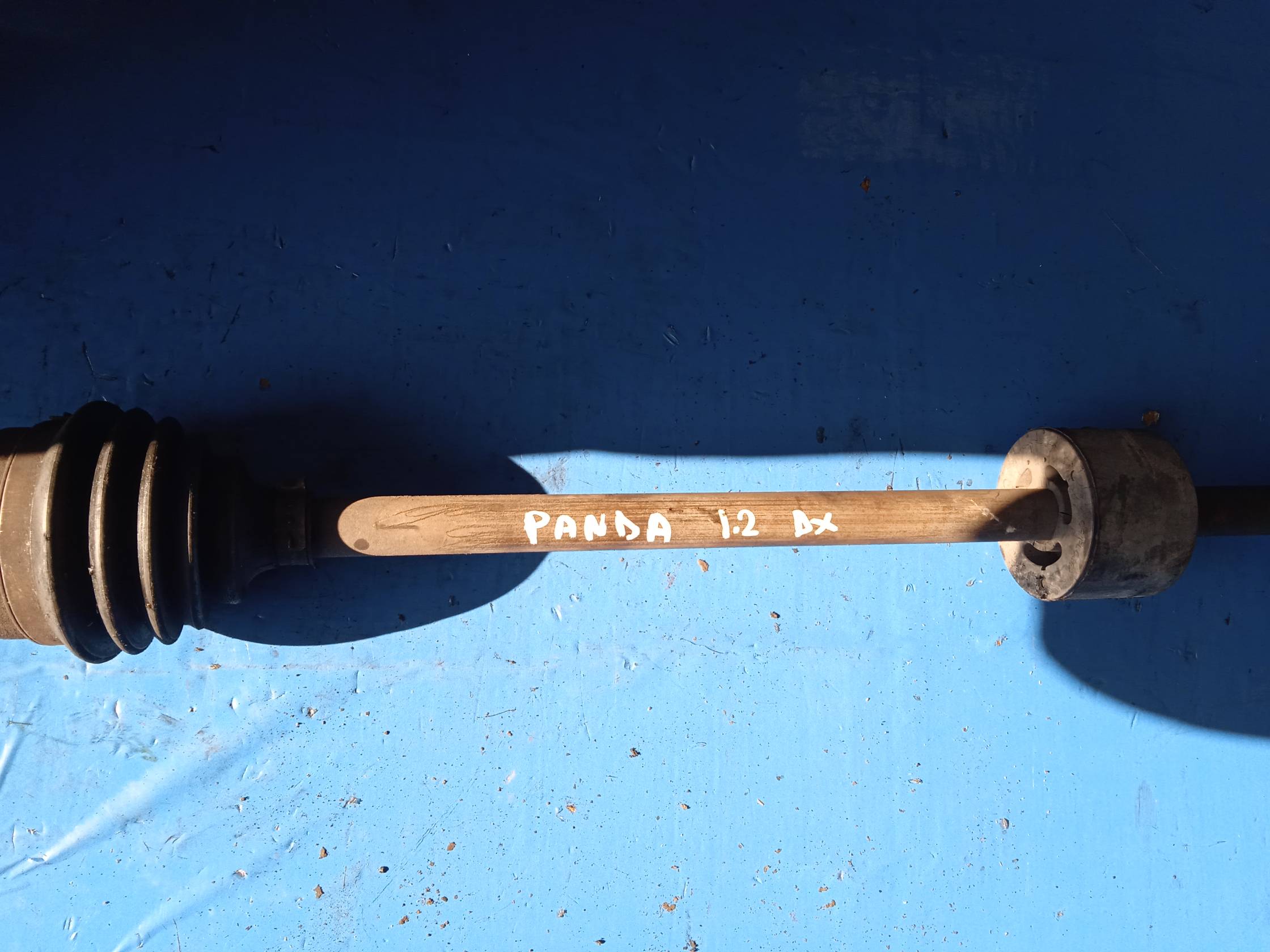 Semialbero ant. compl. dx.