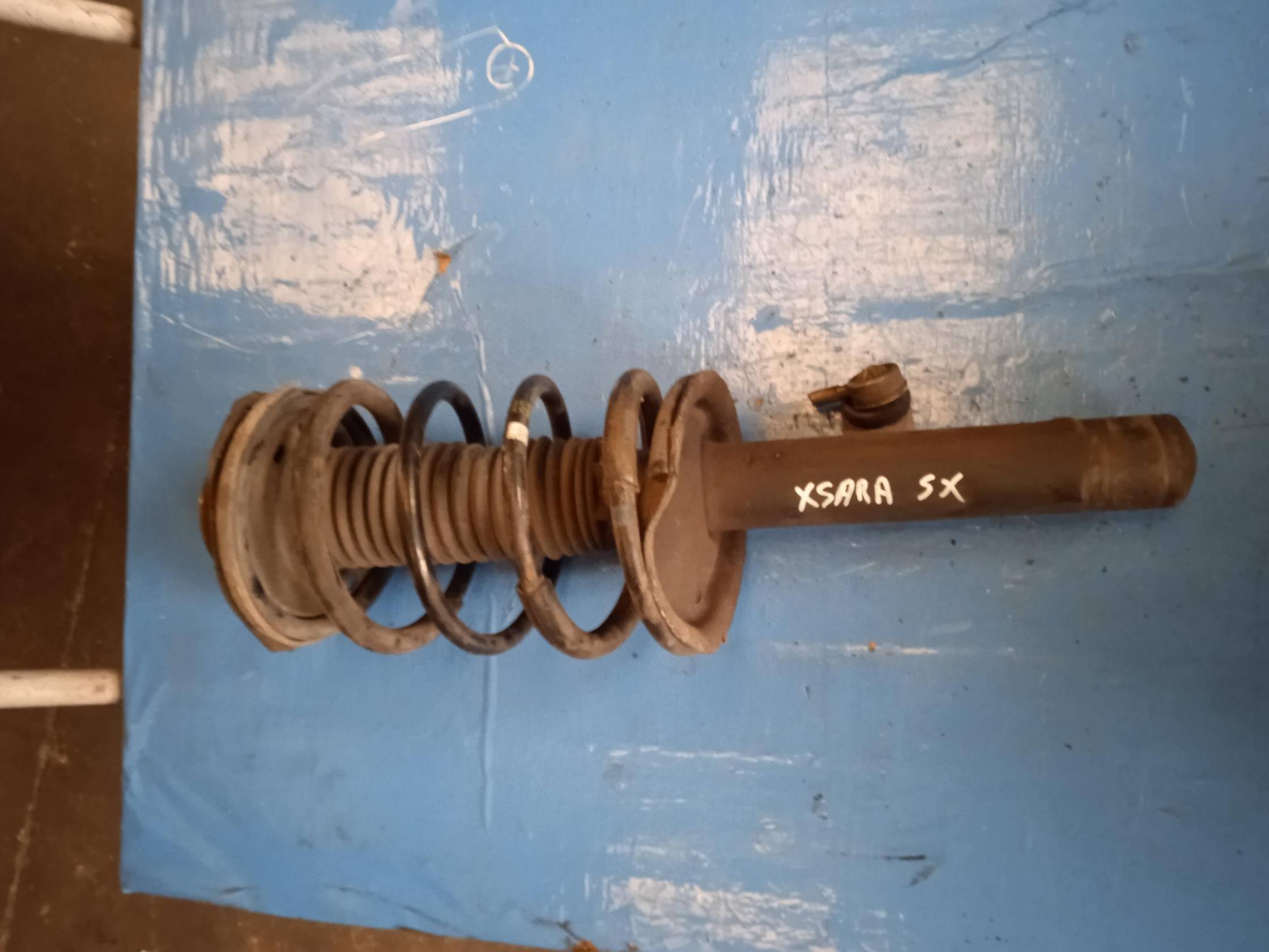 Ammortizzatore ant. sx.