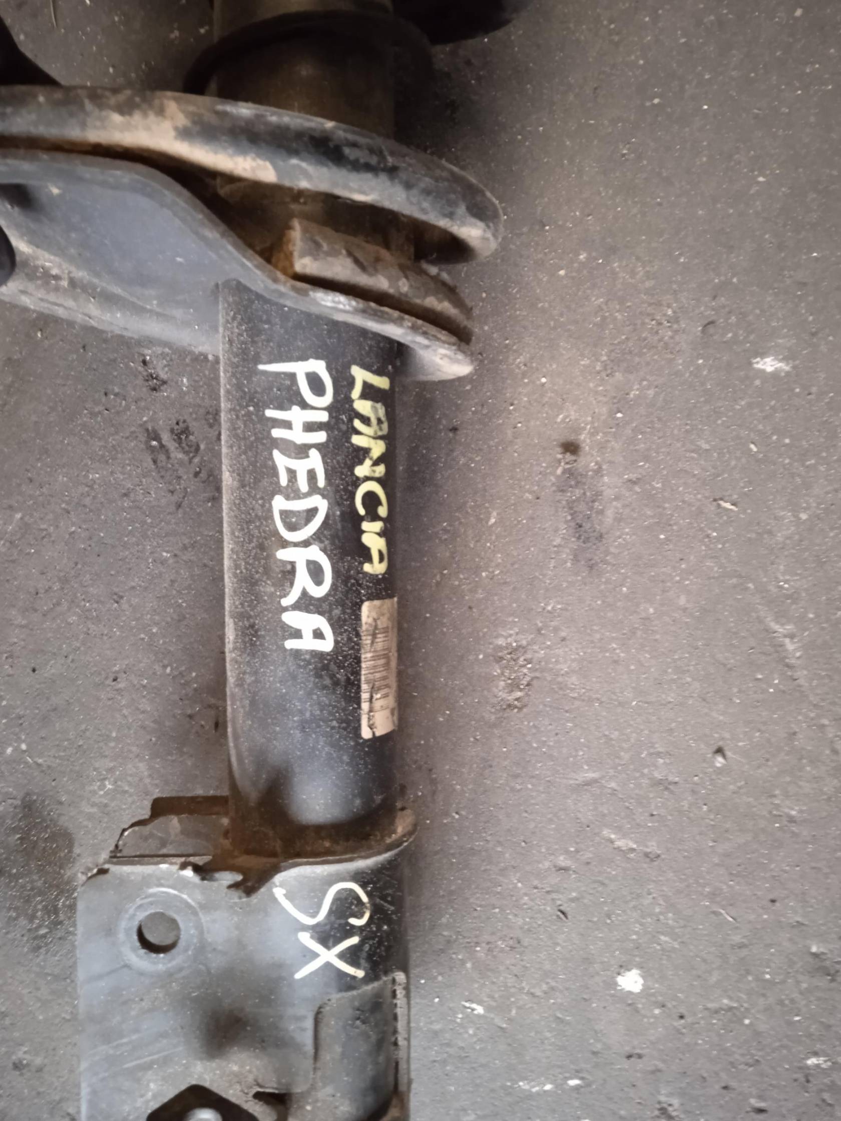 Ammortizzatore ant. sx.