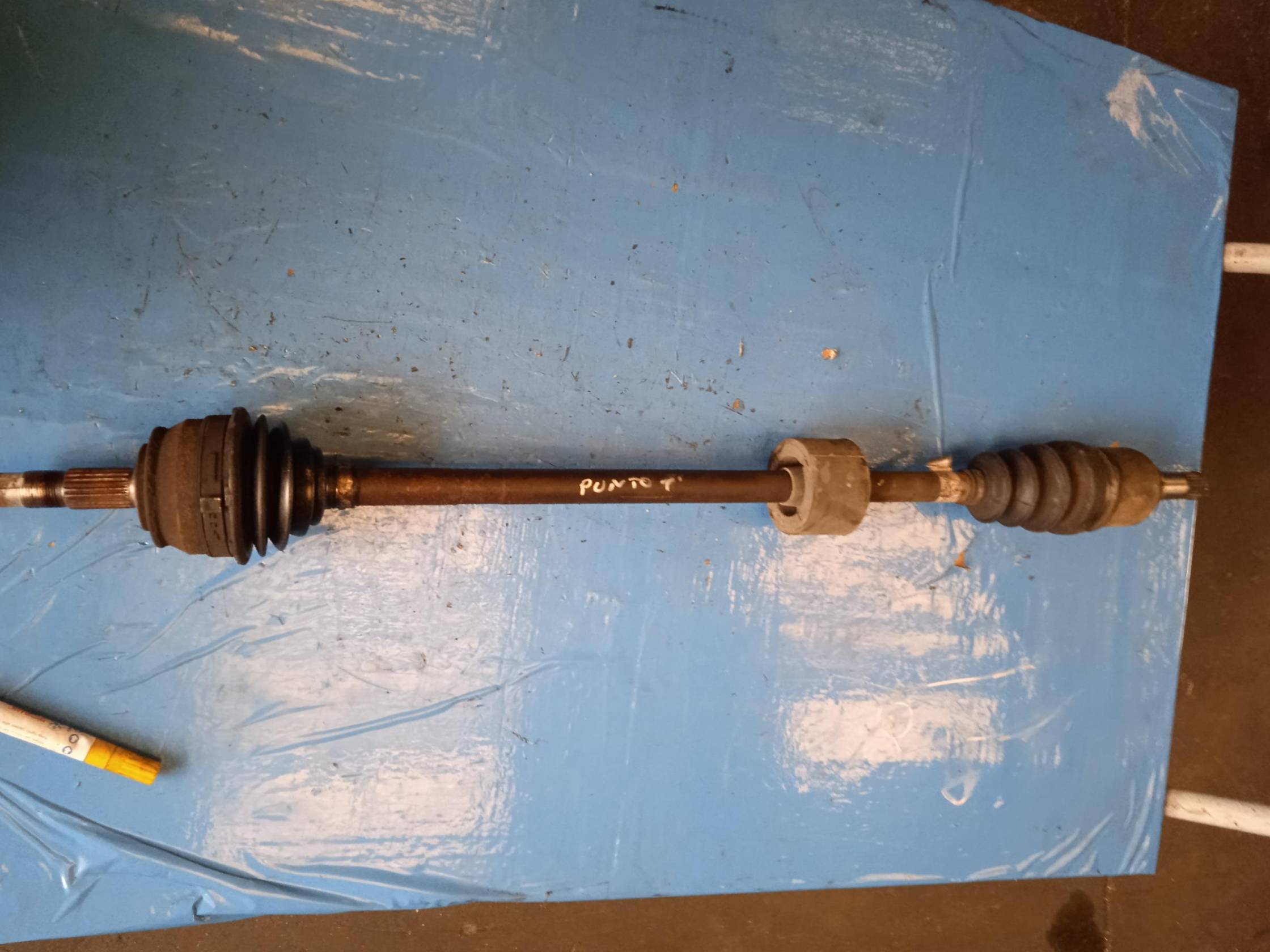 Semialbero ant. compl. dx.