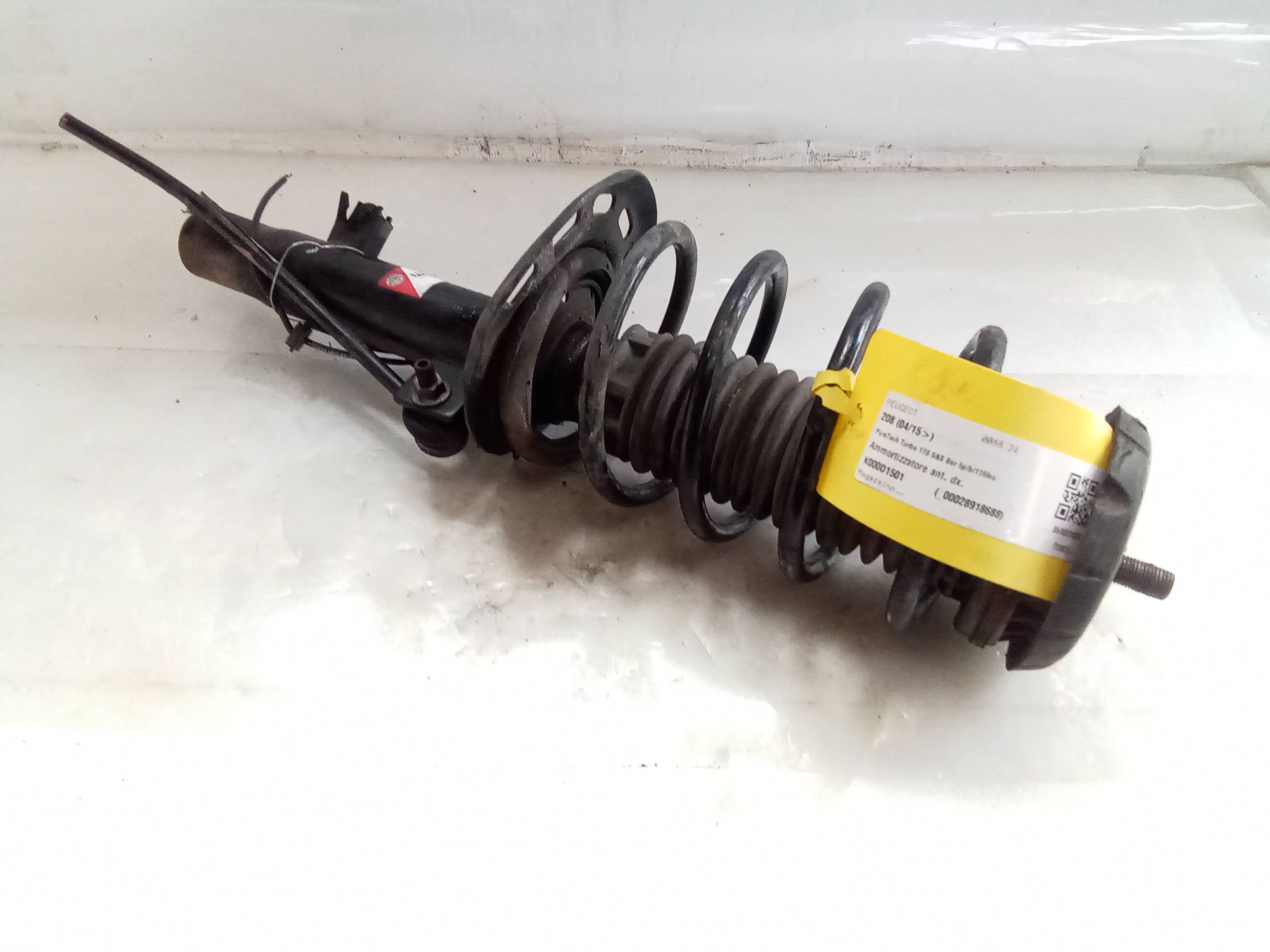 Ammortizzatore ant. dx.