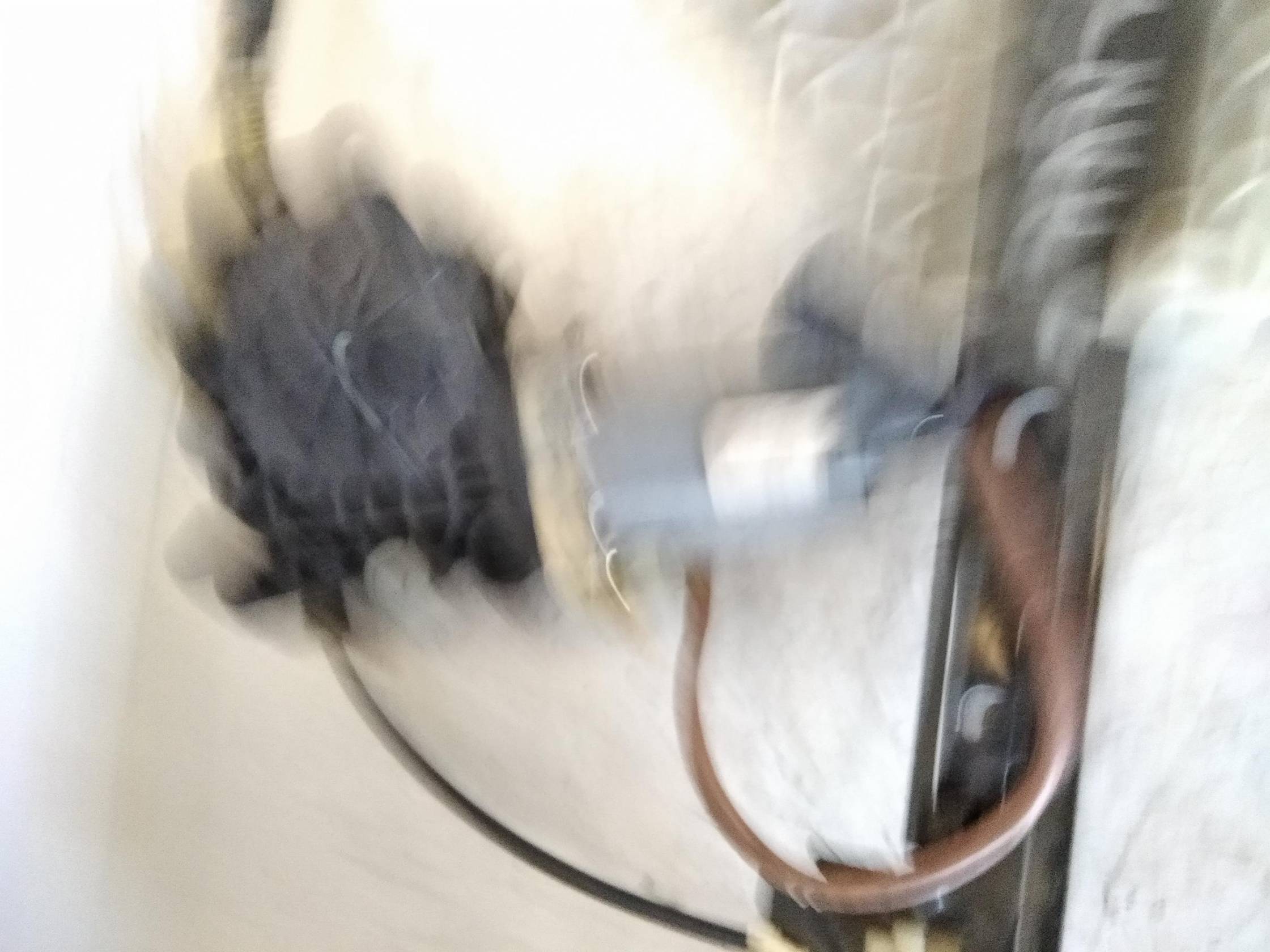 Alzacristallo elettr. porta ant. con motorino dx.