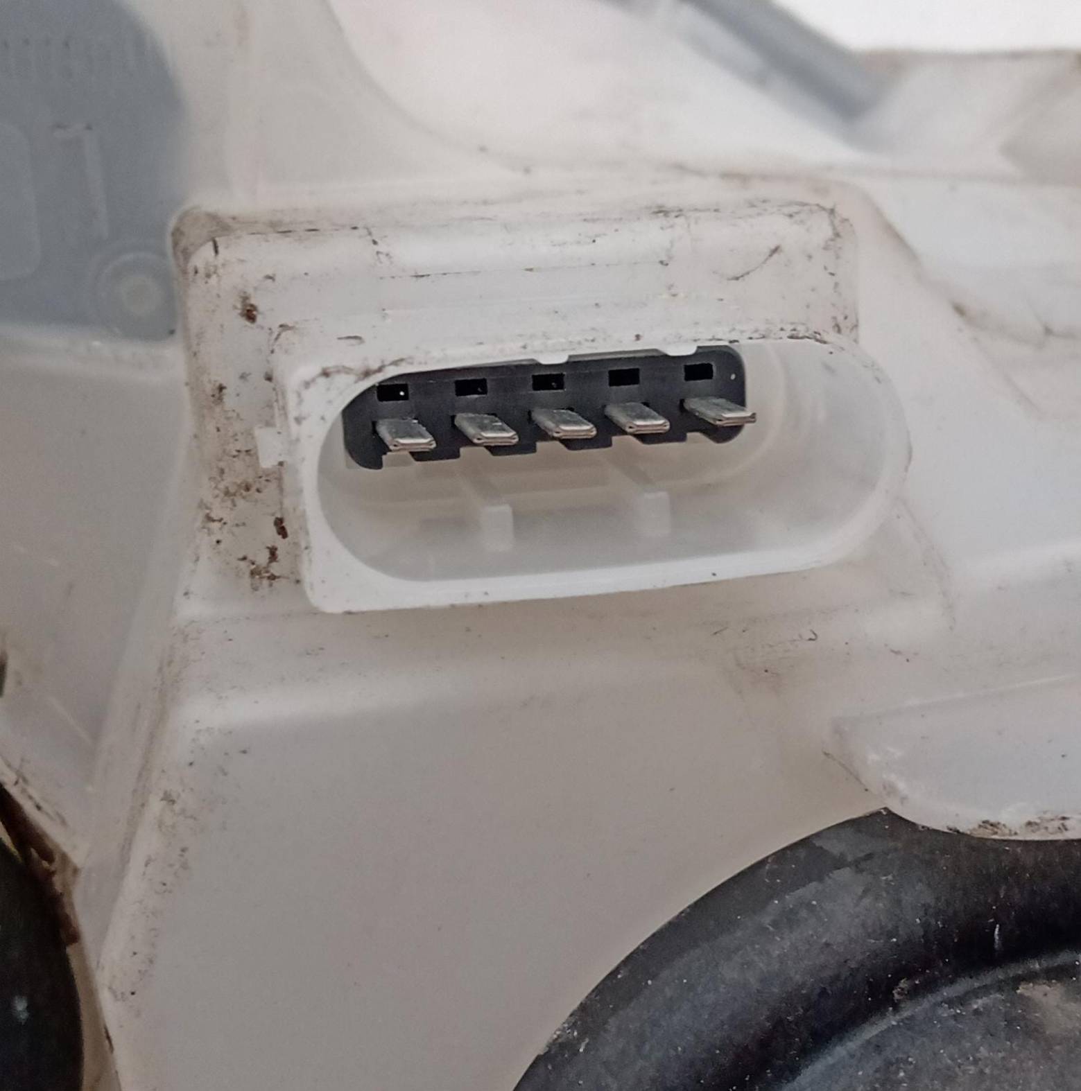 fanale anteriore sinistro