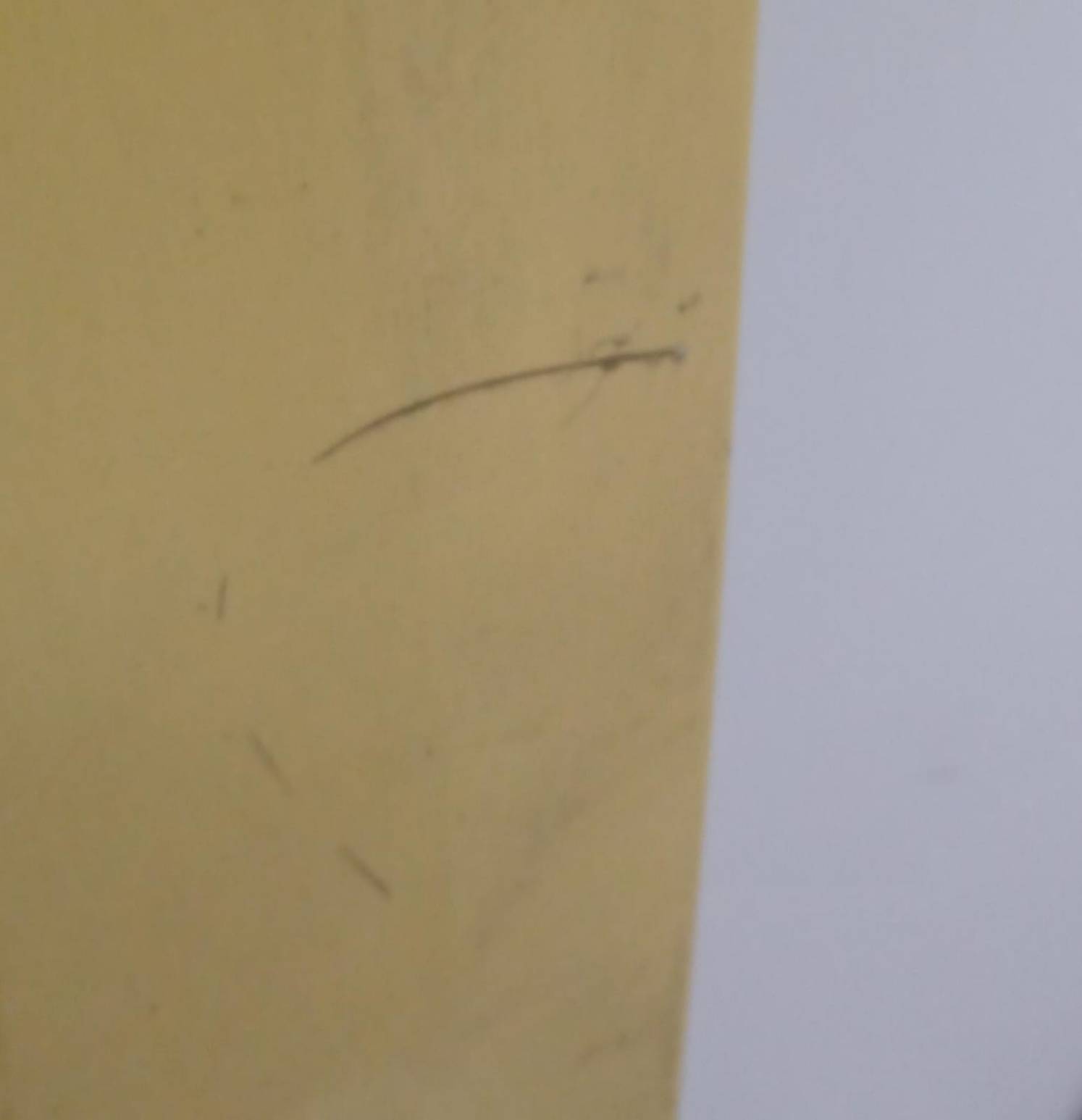 Porta posteriore da carico destra Porta posteriore da carico destra