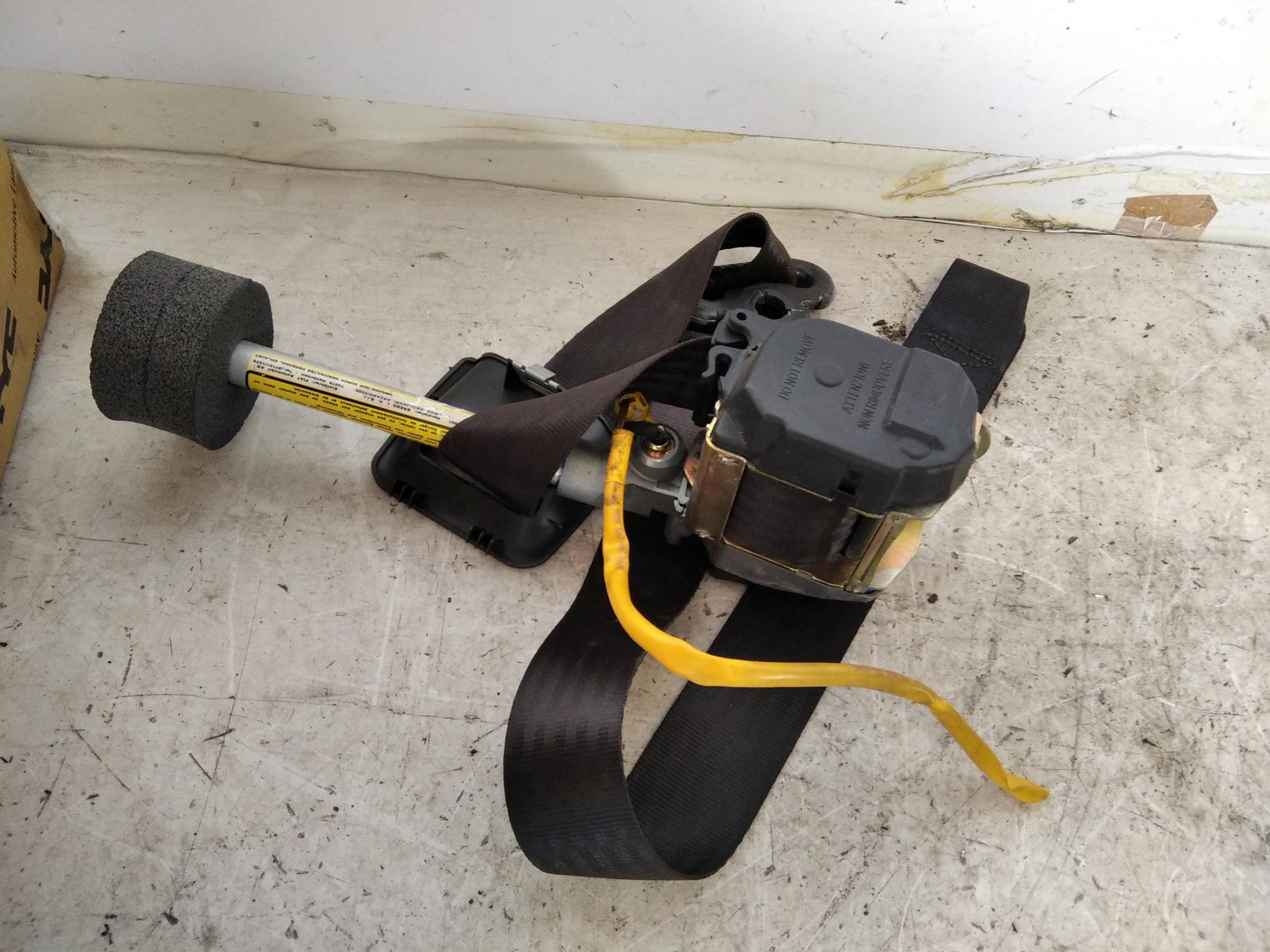 Cintura sicurezza ant. dx.