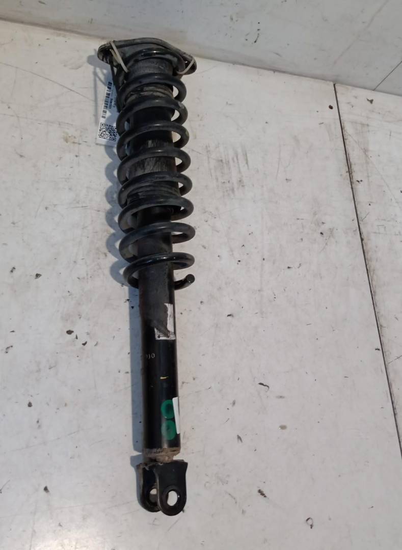 Ammortizzatore posteriroe sinistro