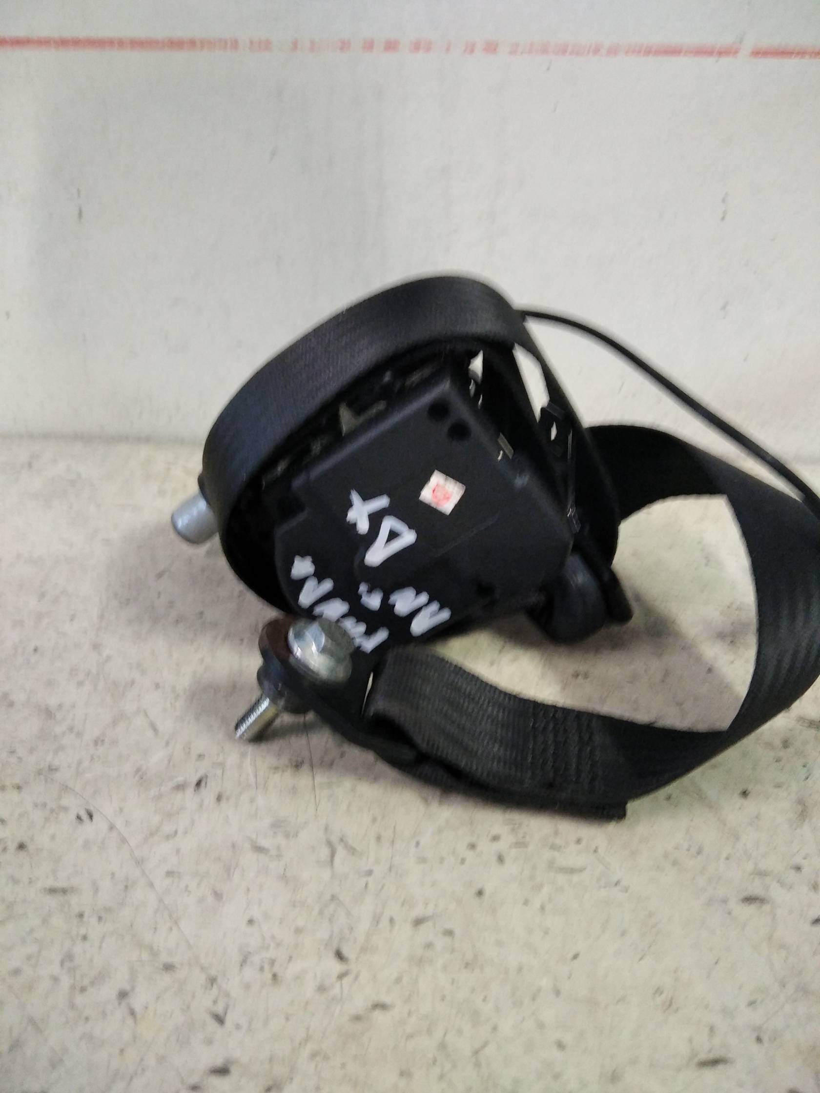 Cintura di sicurezza ant. dx.