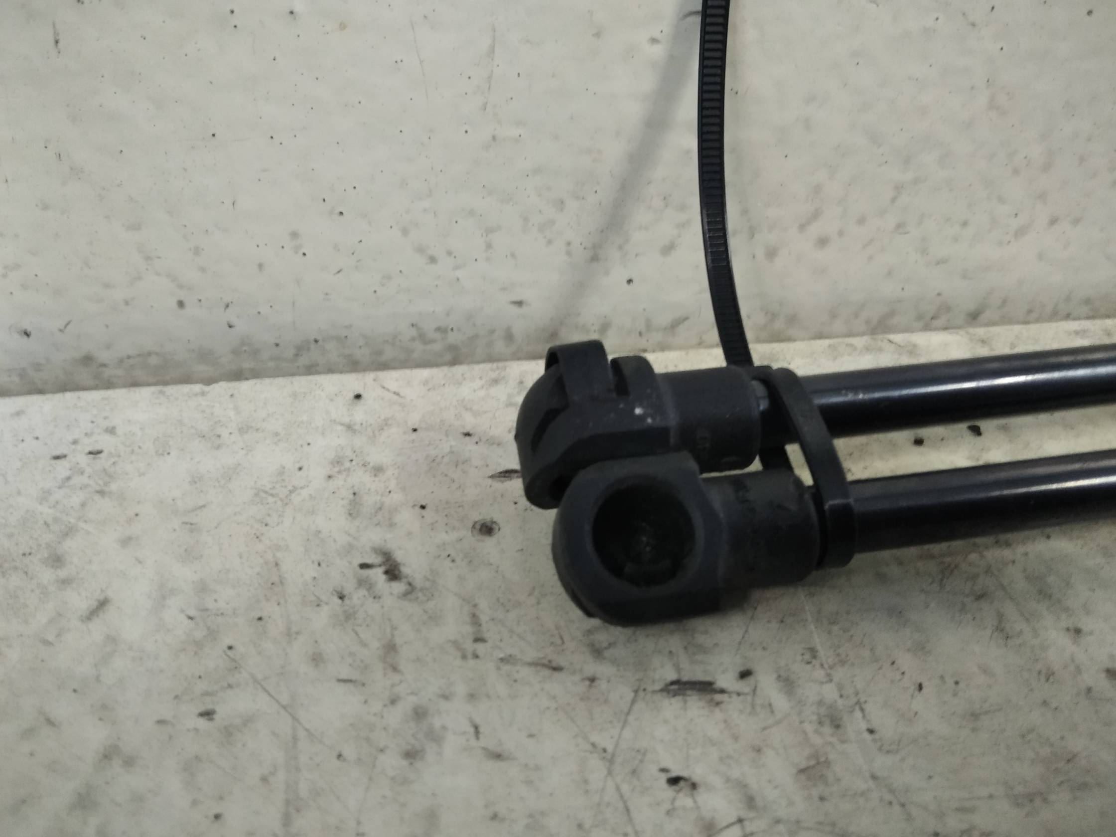 Asta ammortizzante portello post.