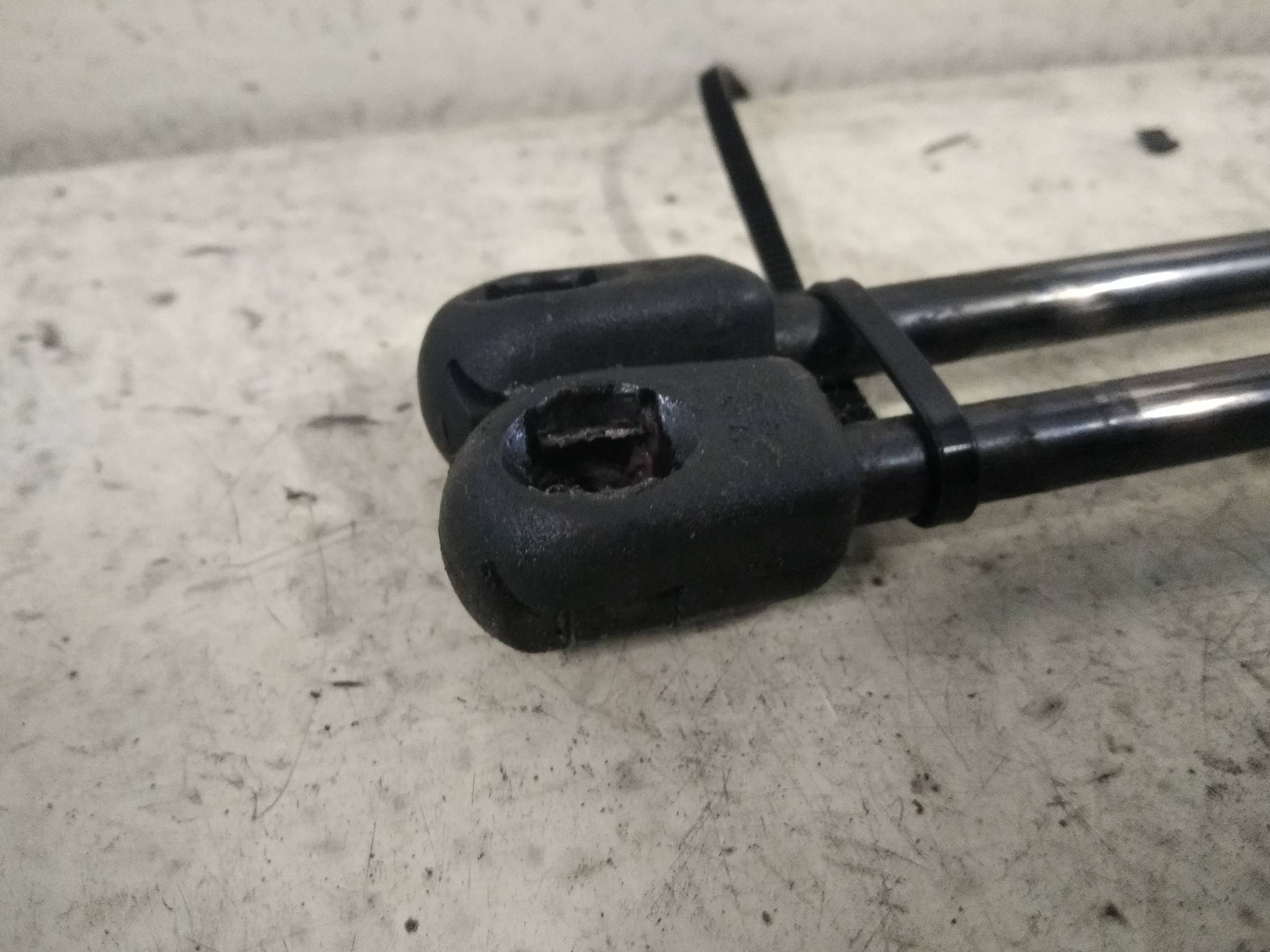 Asta ammortizzante portello post. sx.