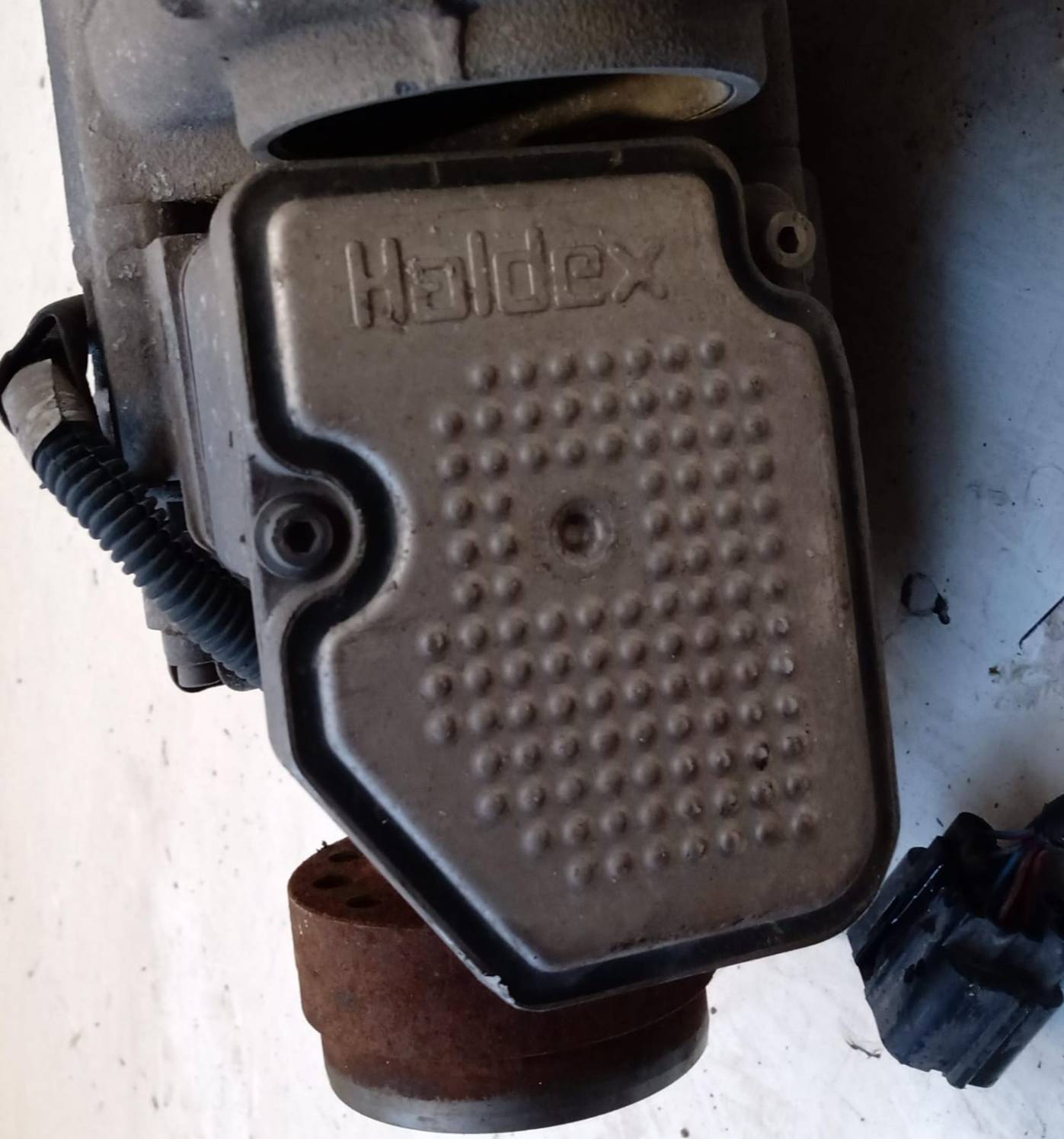 Differenziale posteriore