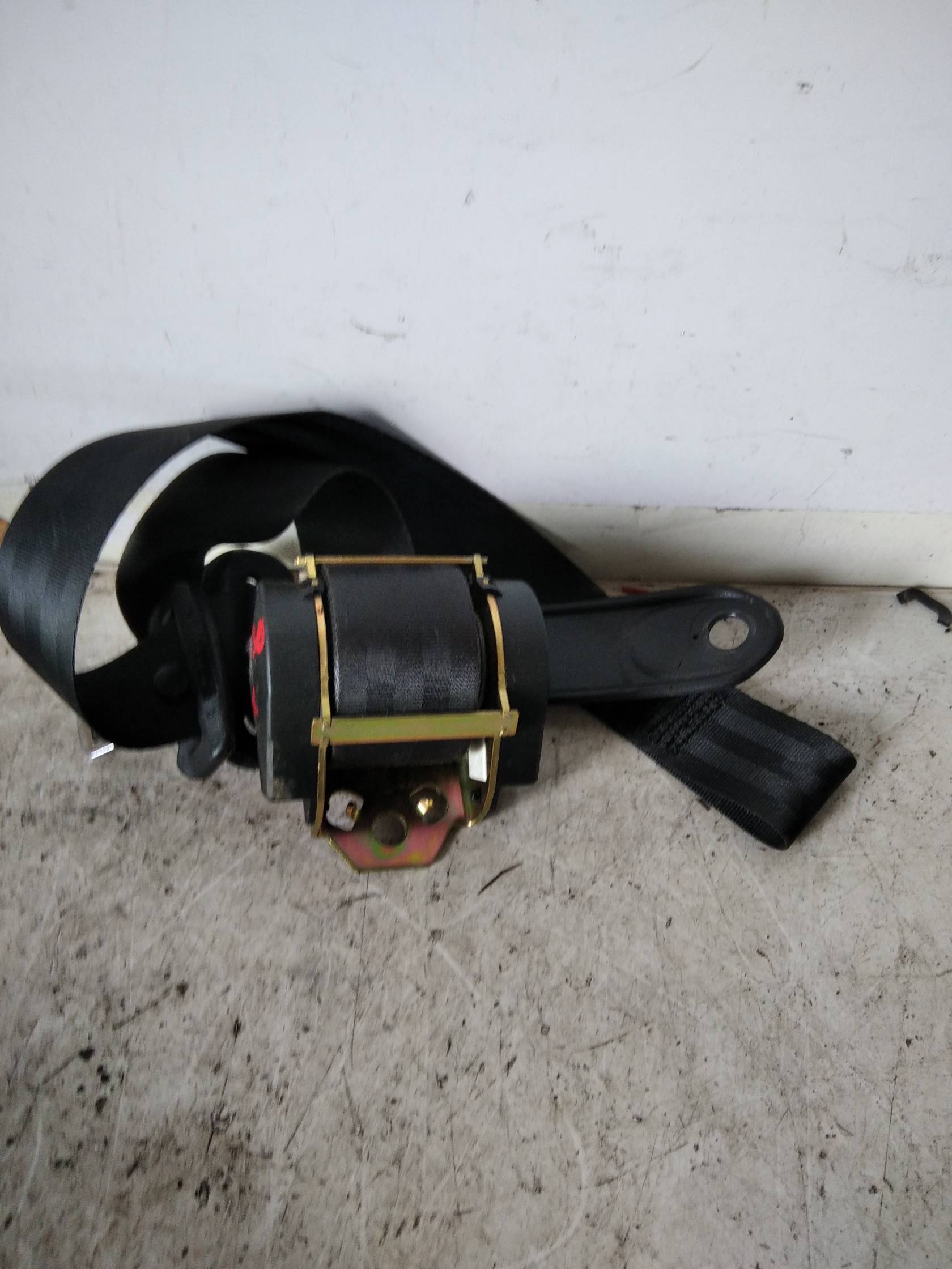 Cintura di sicurezza ant. sx.