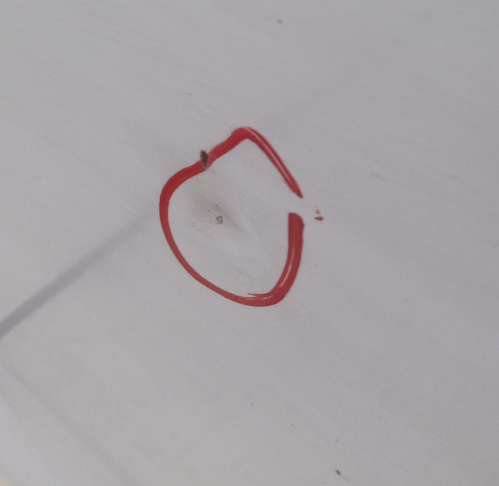 Porta anteriore destra