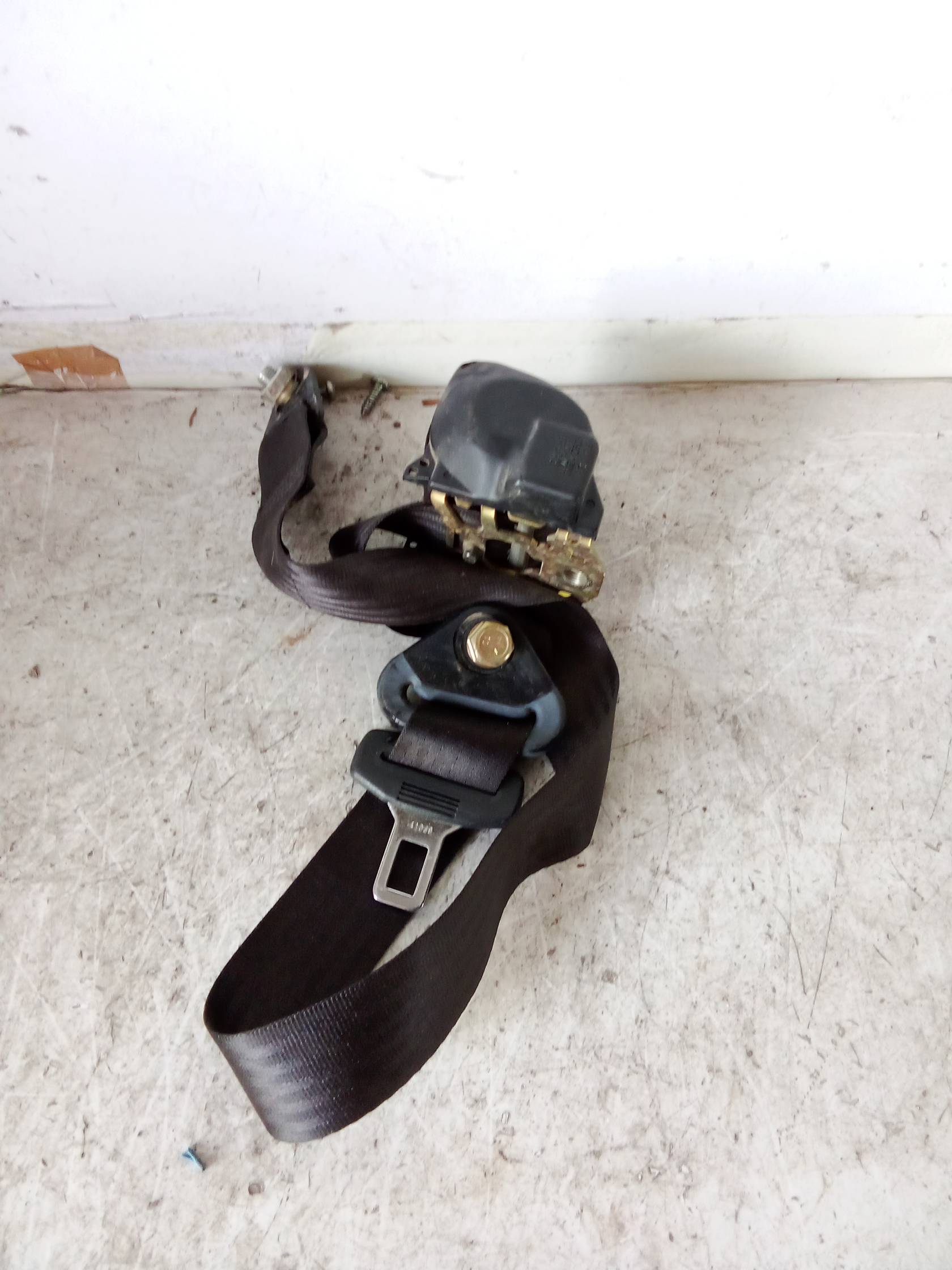 Cintura sicurezza ant. sx.