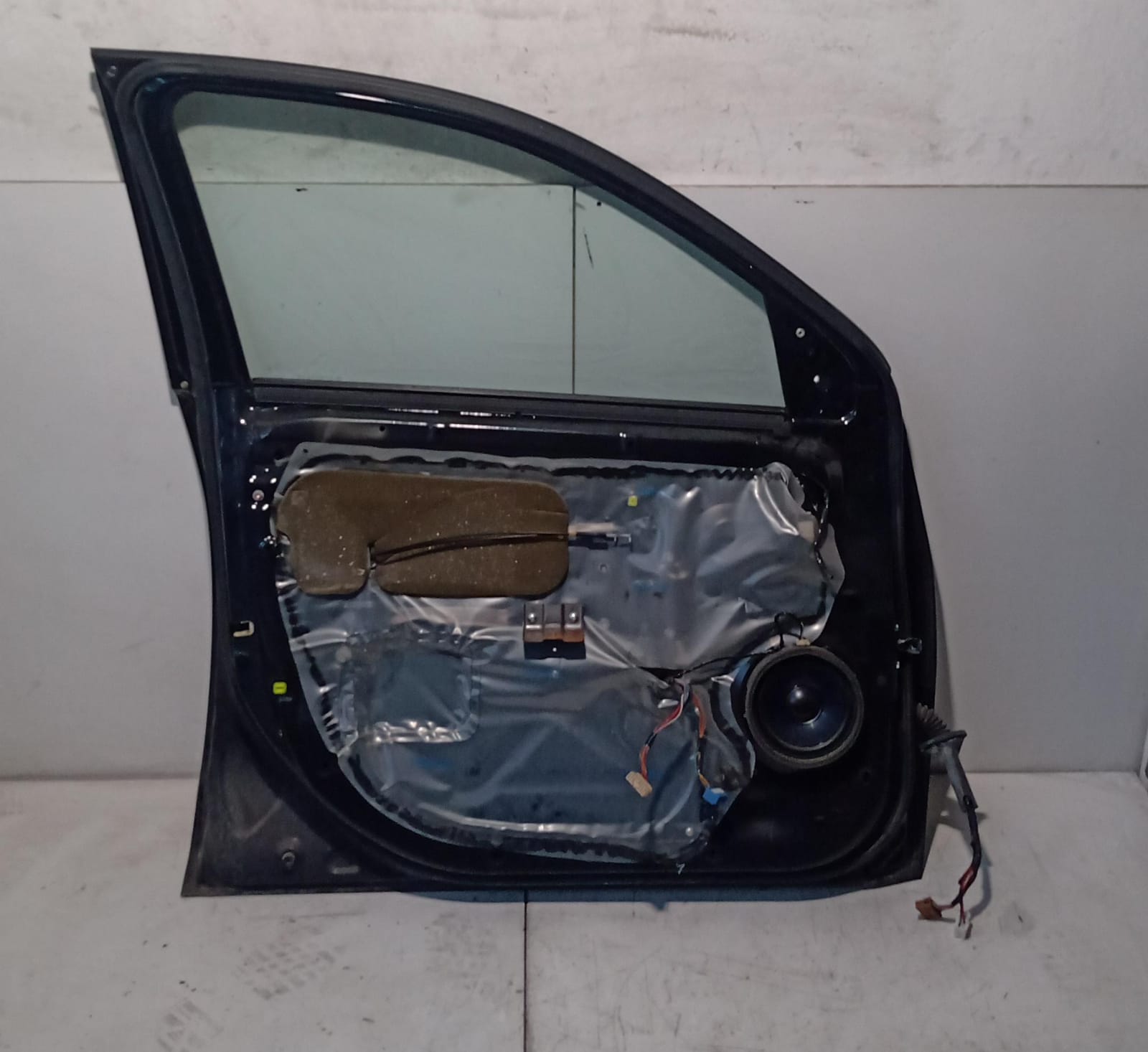 Porta anteriore sinistra Porta anteriore sinistra