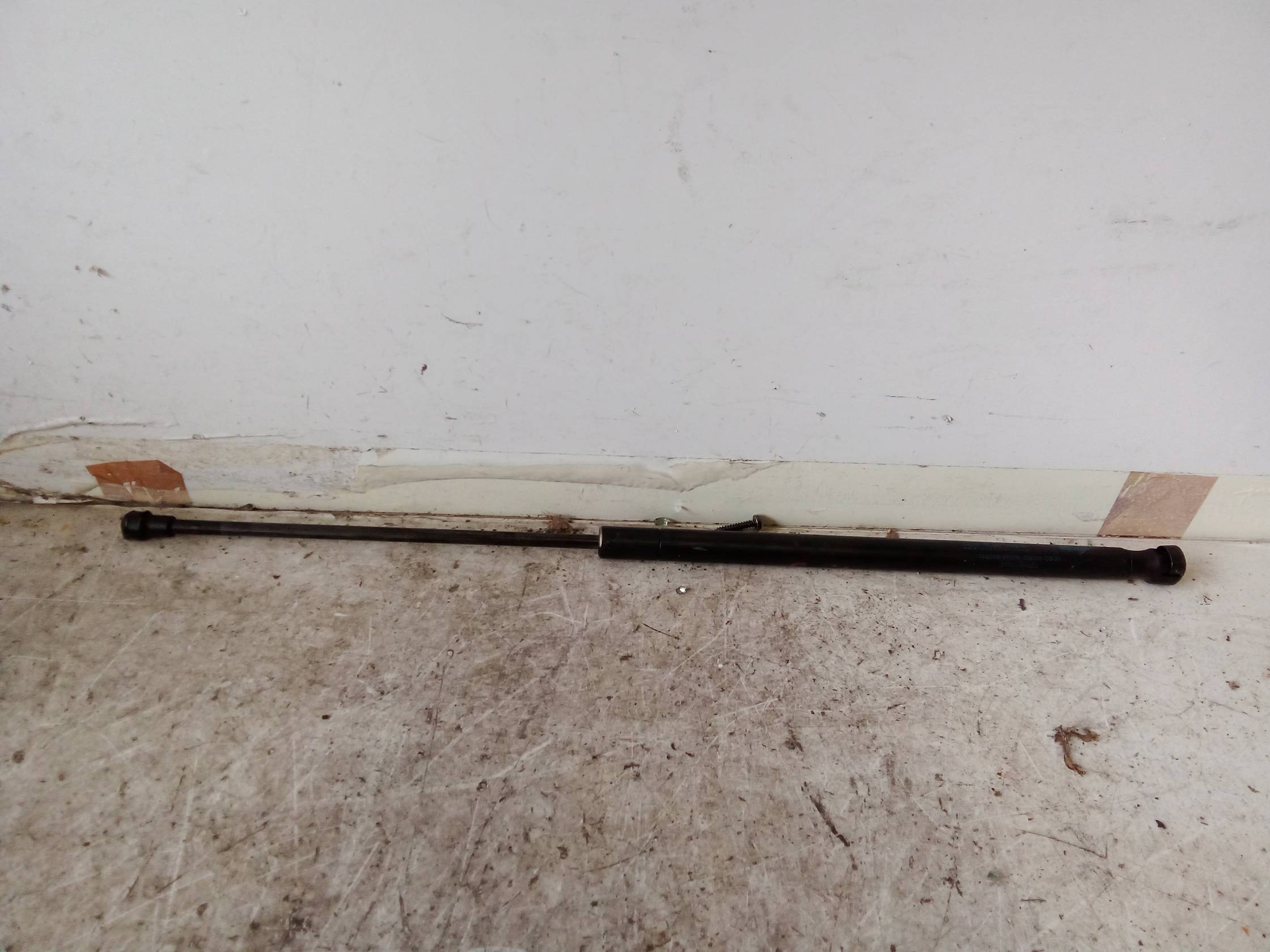 Asta ammortizzante lunotto