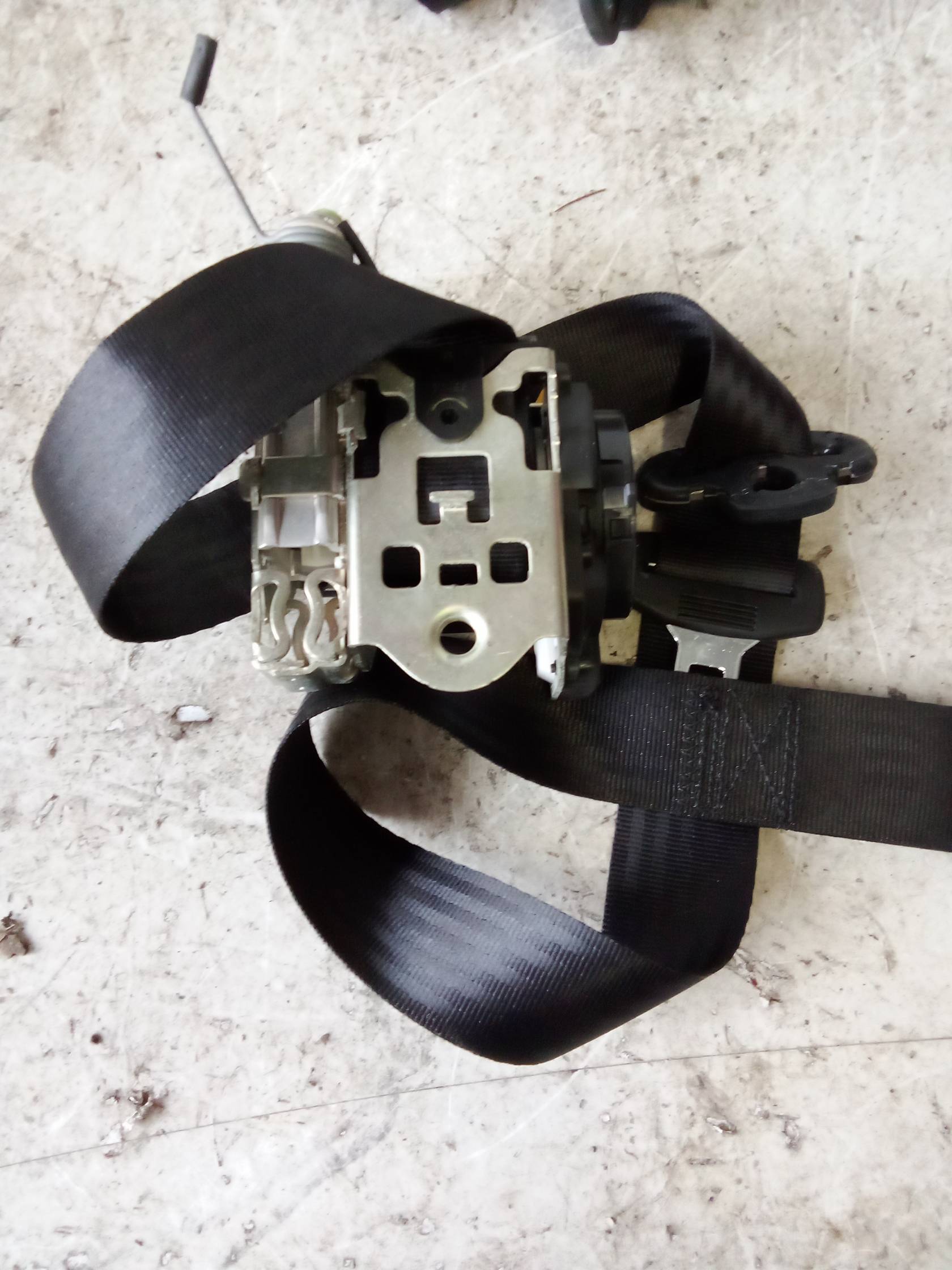 Cintura di sicurezza ant. dx.