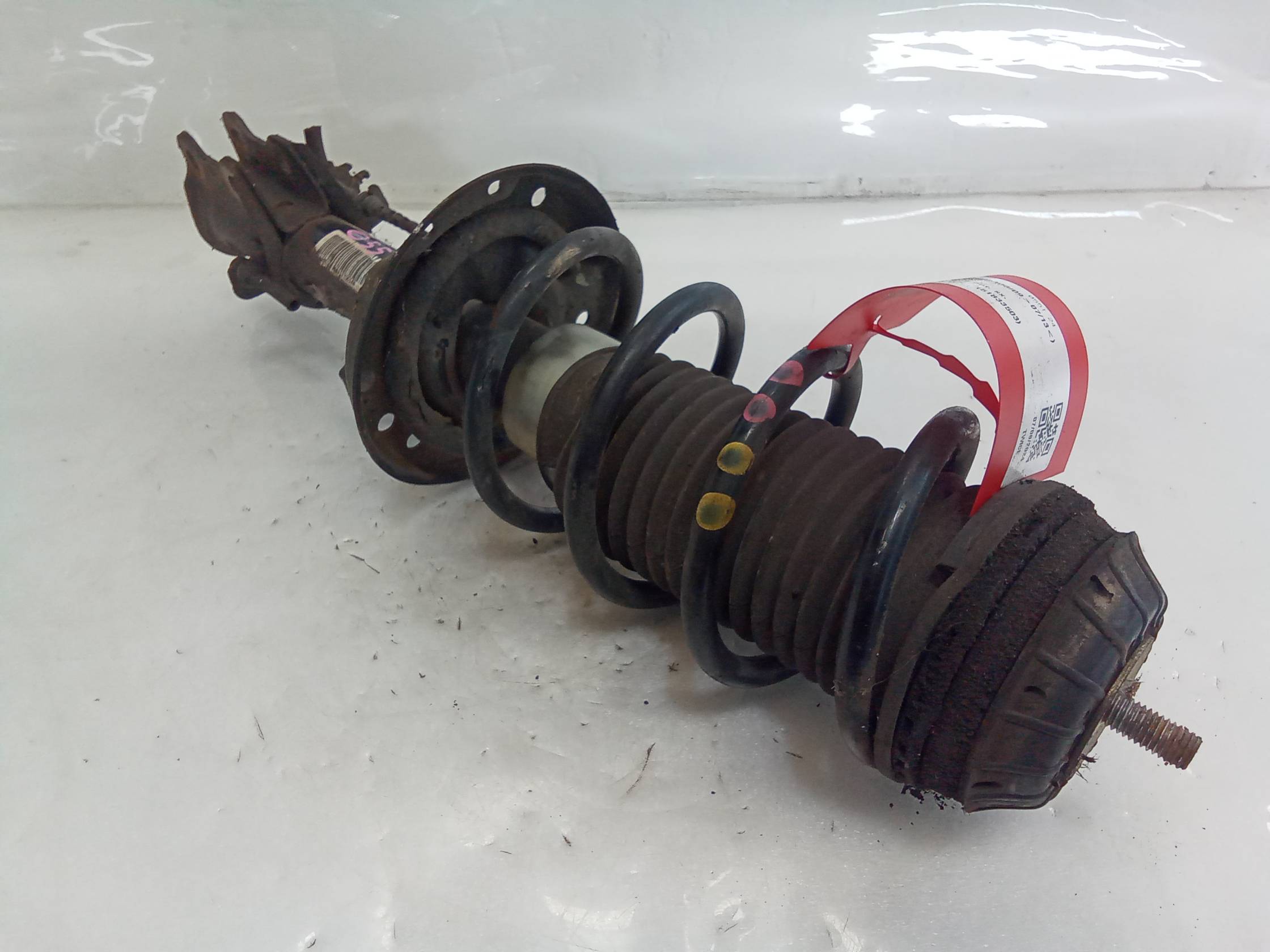 Ammortizzatore ant. sx.