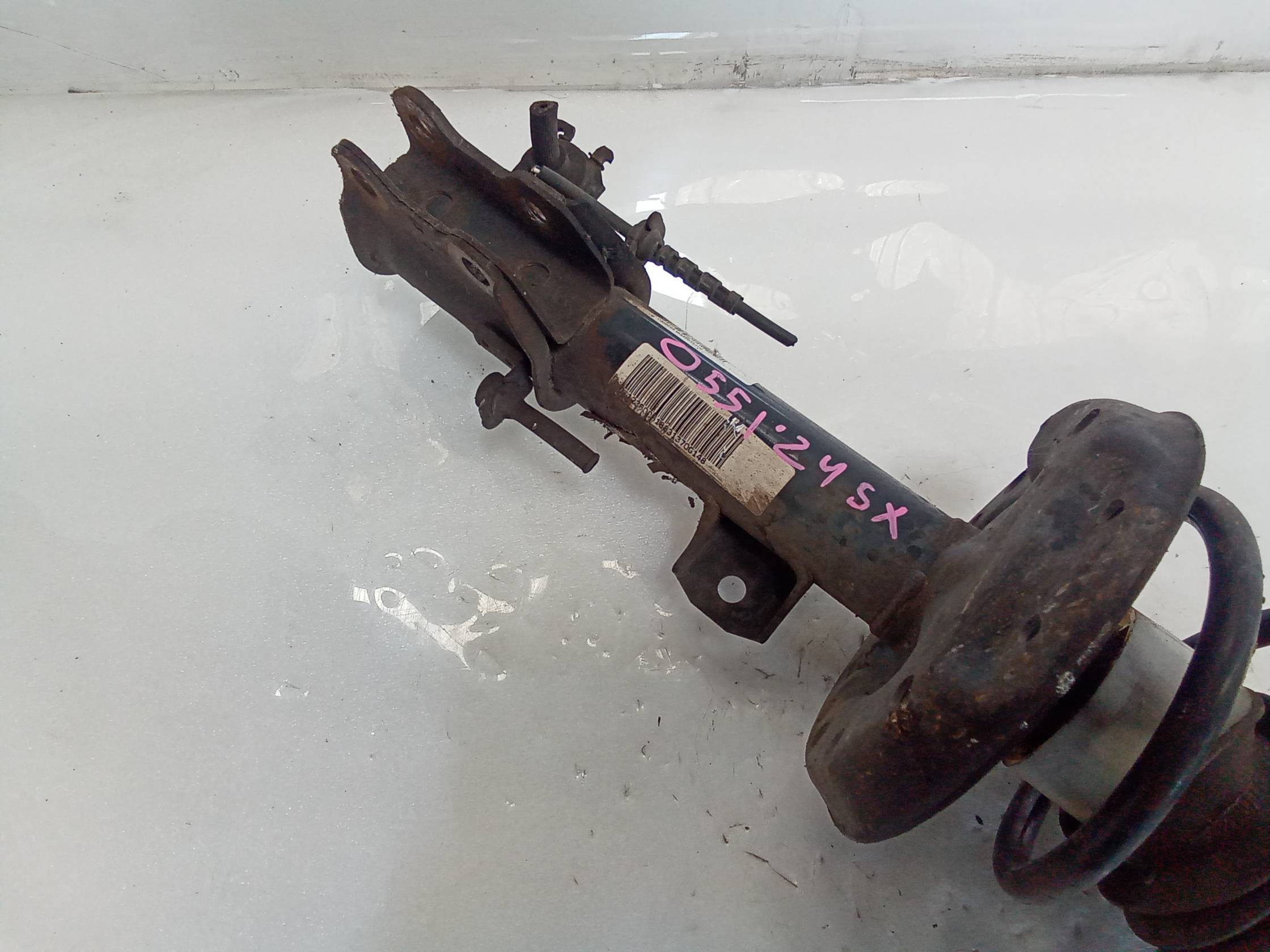 Ammortizzatore ant. sx.