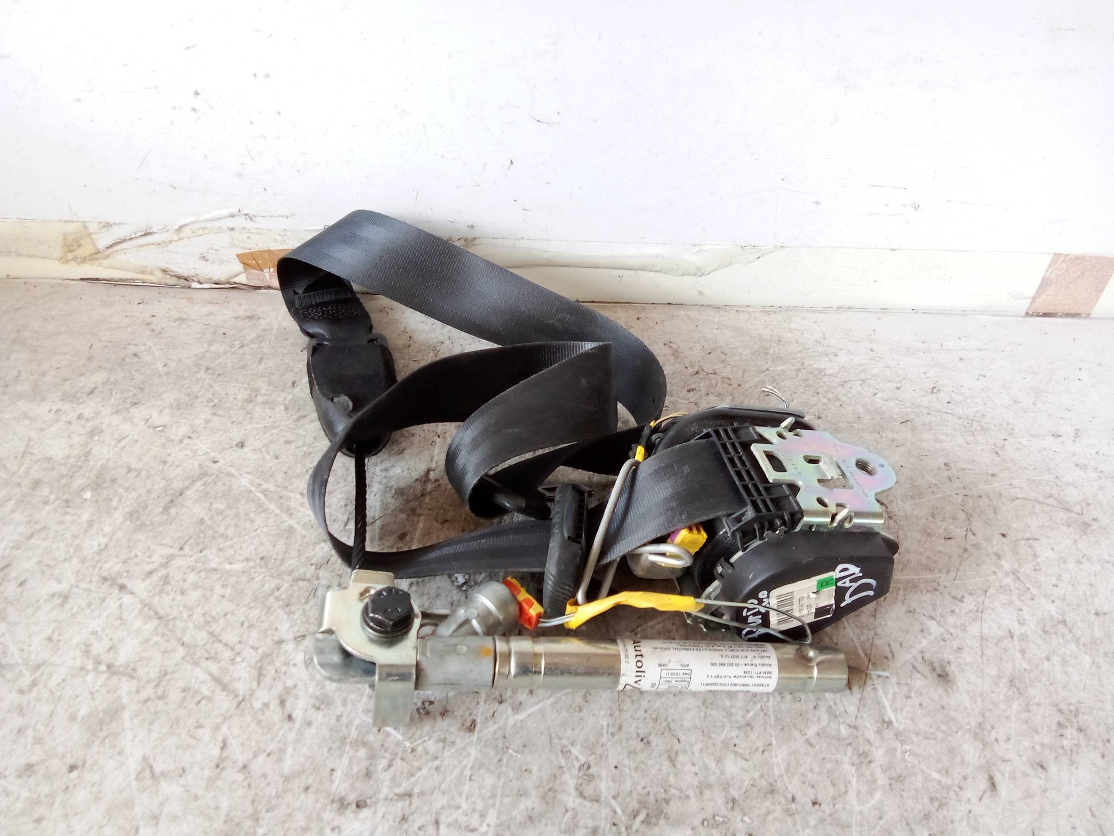 Cintura di sicurezza ant. dx.