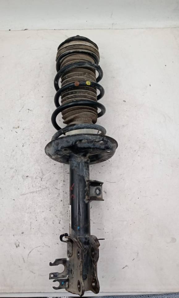 Ammortizzatore ant. sx.