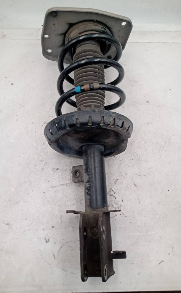 Ammortizzatore ant. sx.