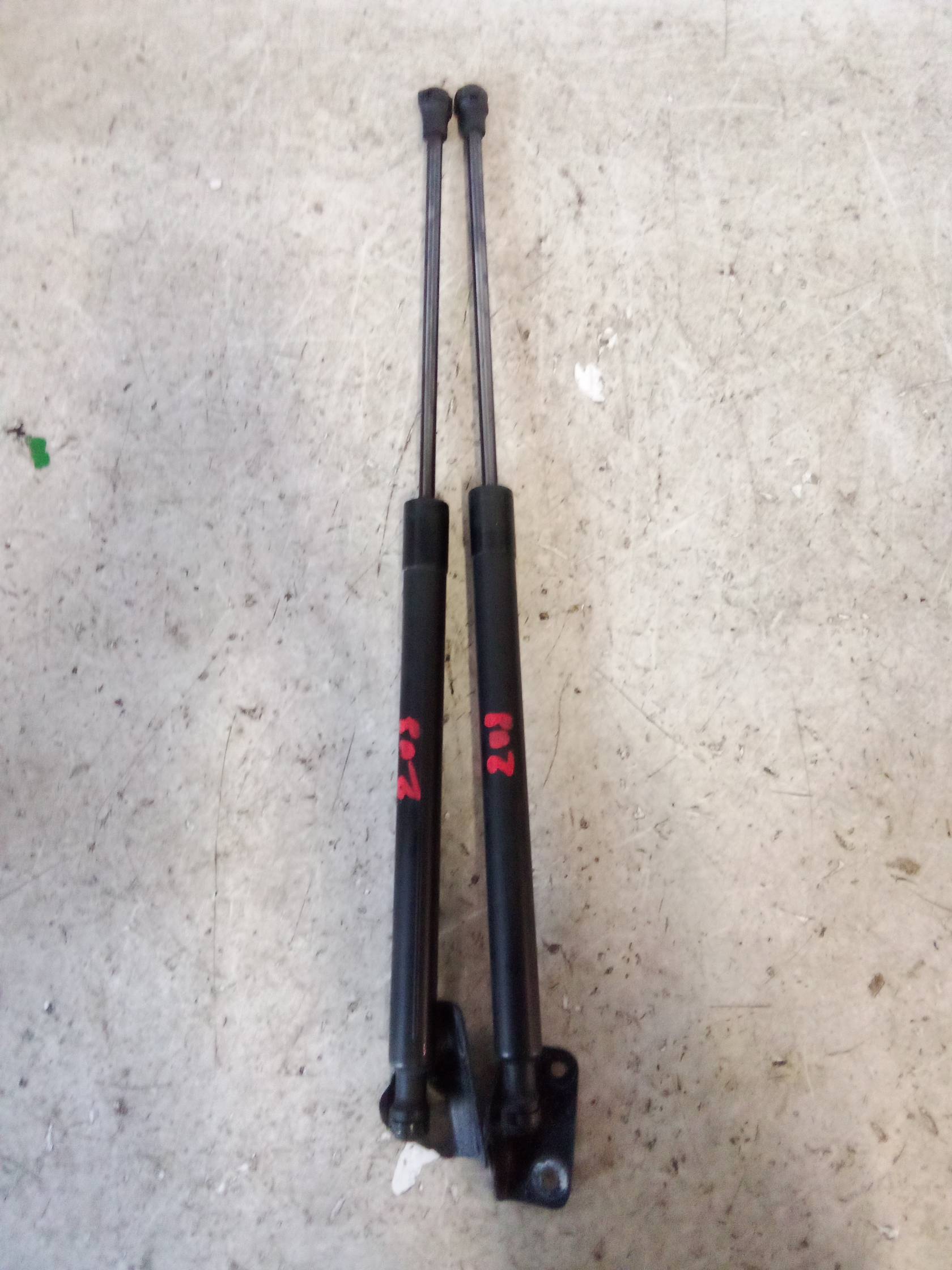 Asta ammortizzante portello post. sx.