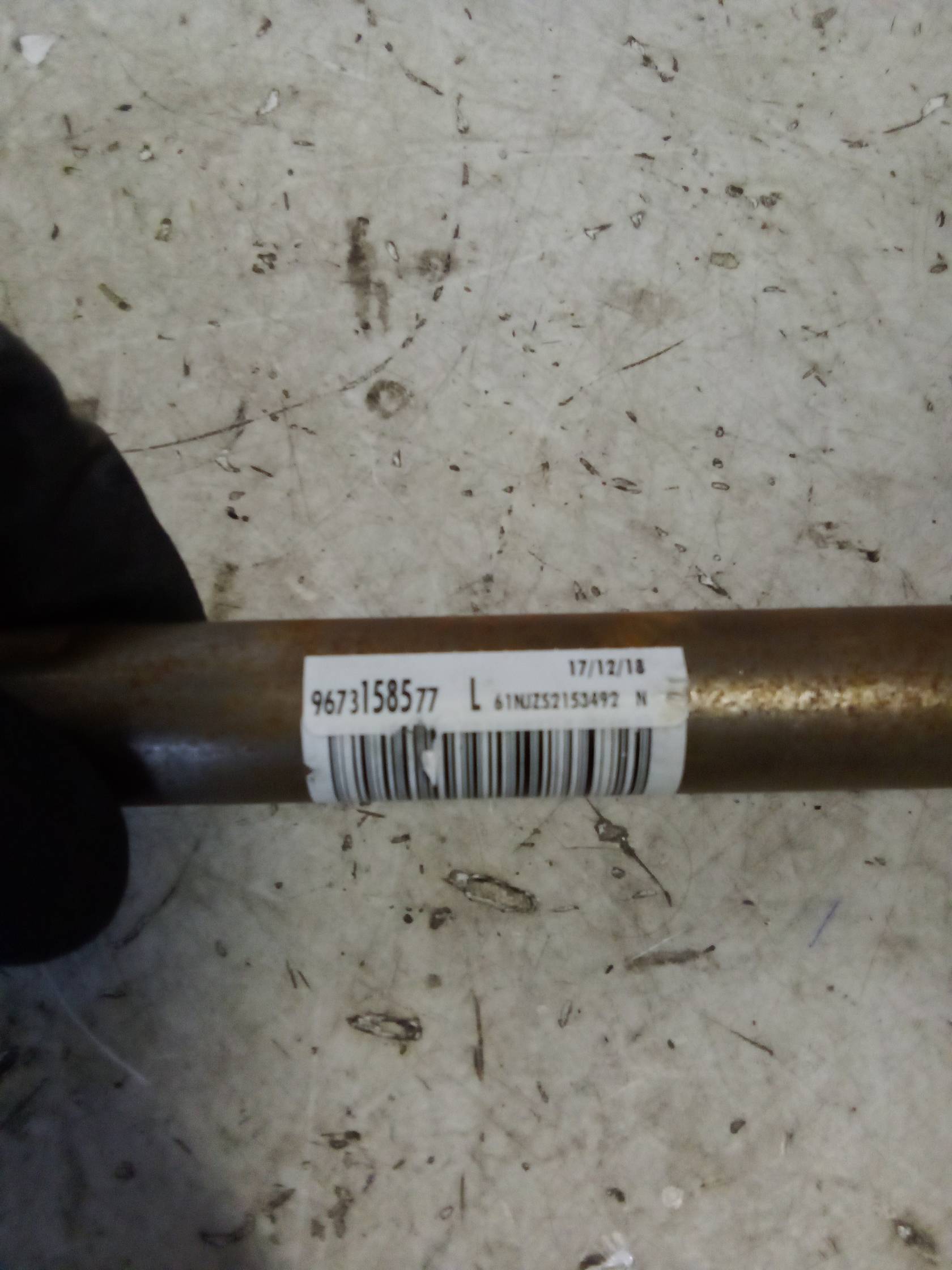 Servosterzo elettronico