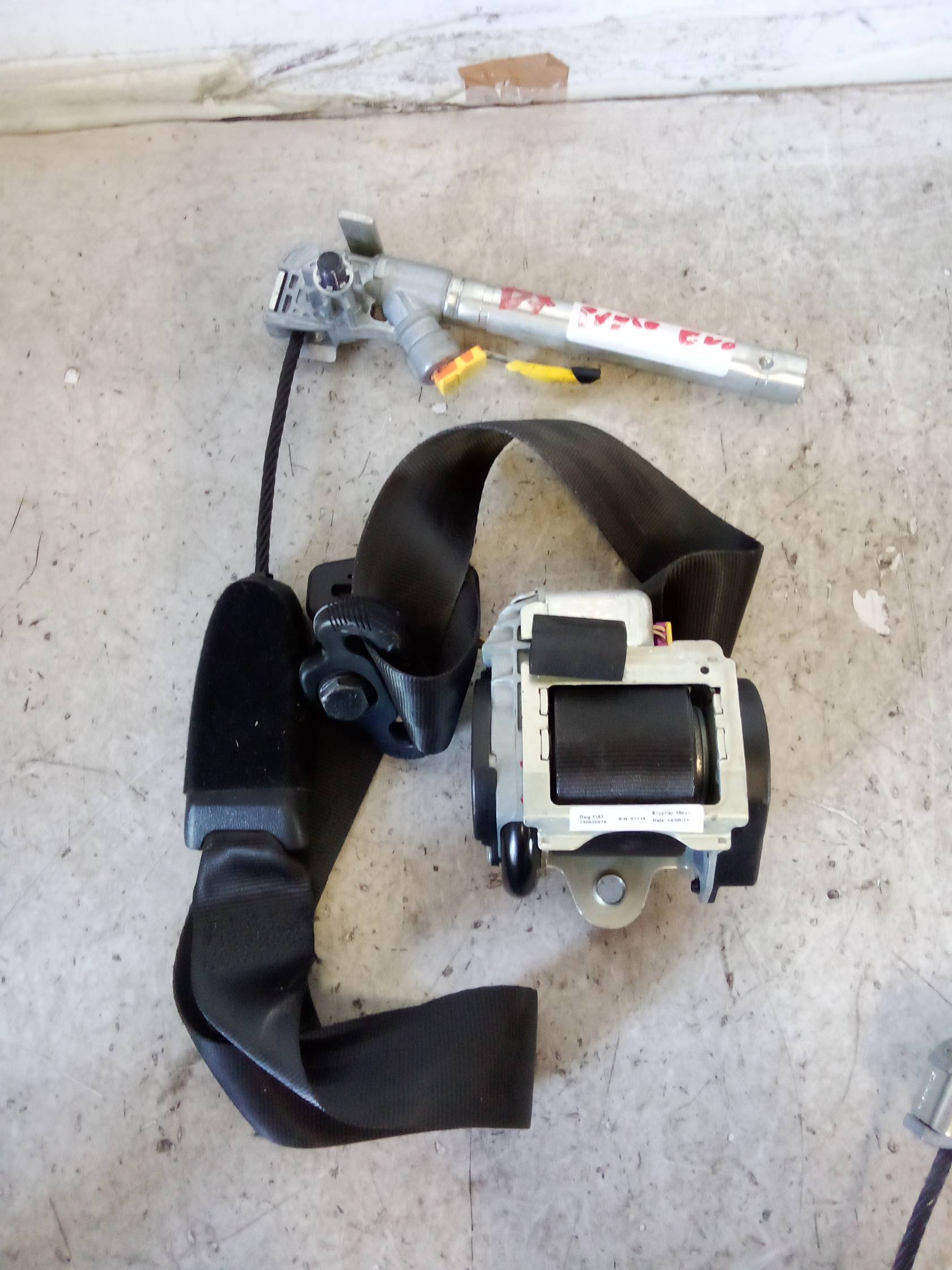 Cintura di sicurezza ant. dx.