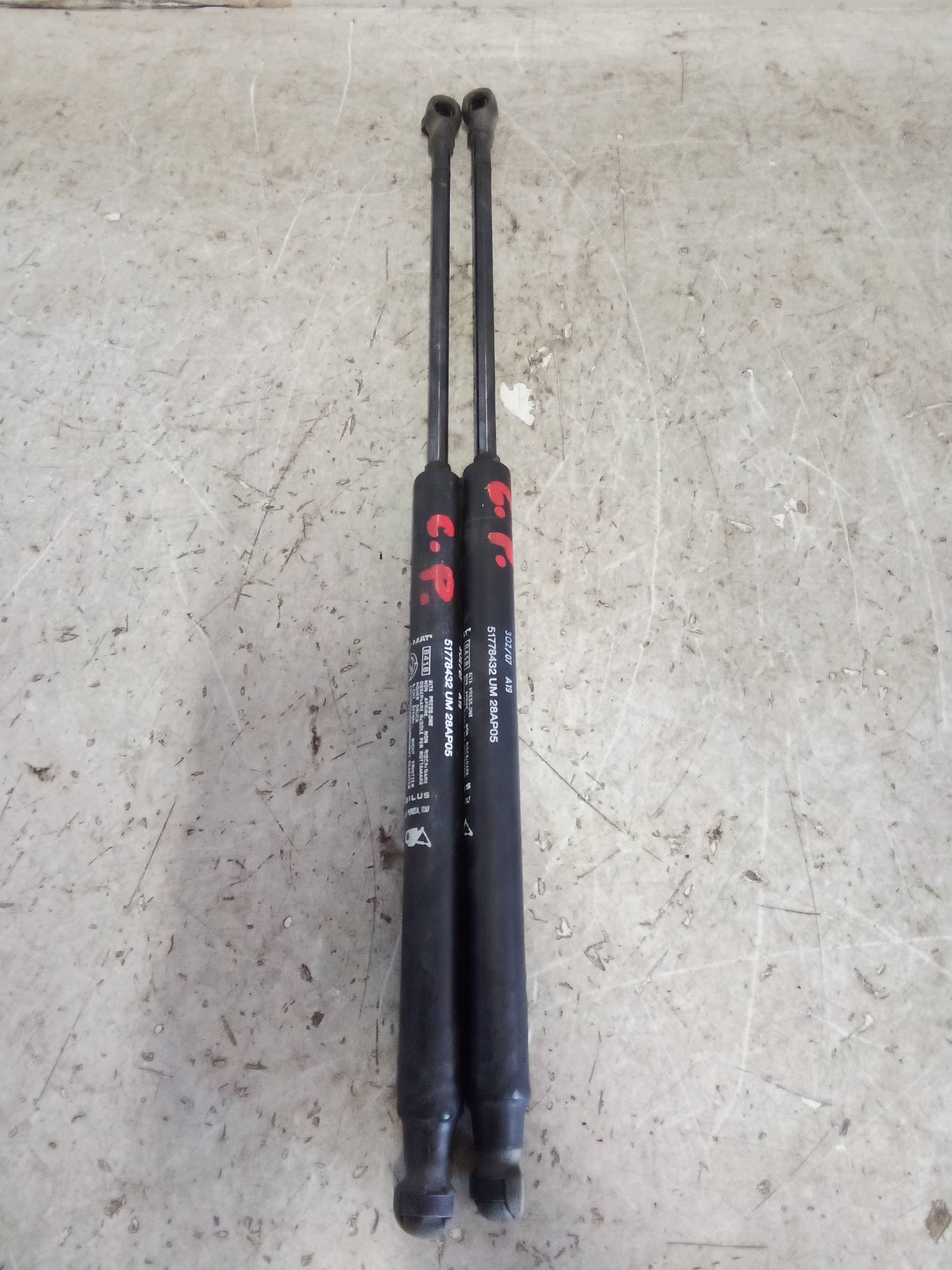 Asta ammortizzante portello post. sx.