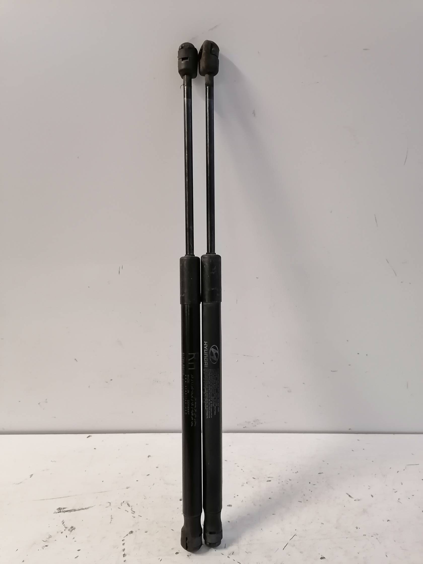 Asta ammortizzante portello post. sx.