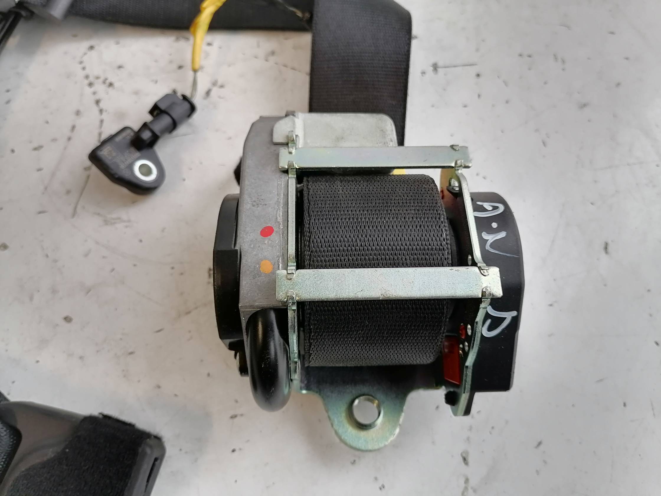 Cintura di sicurezza ant. dx.