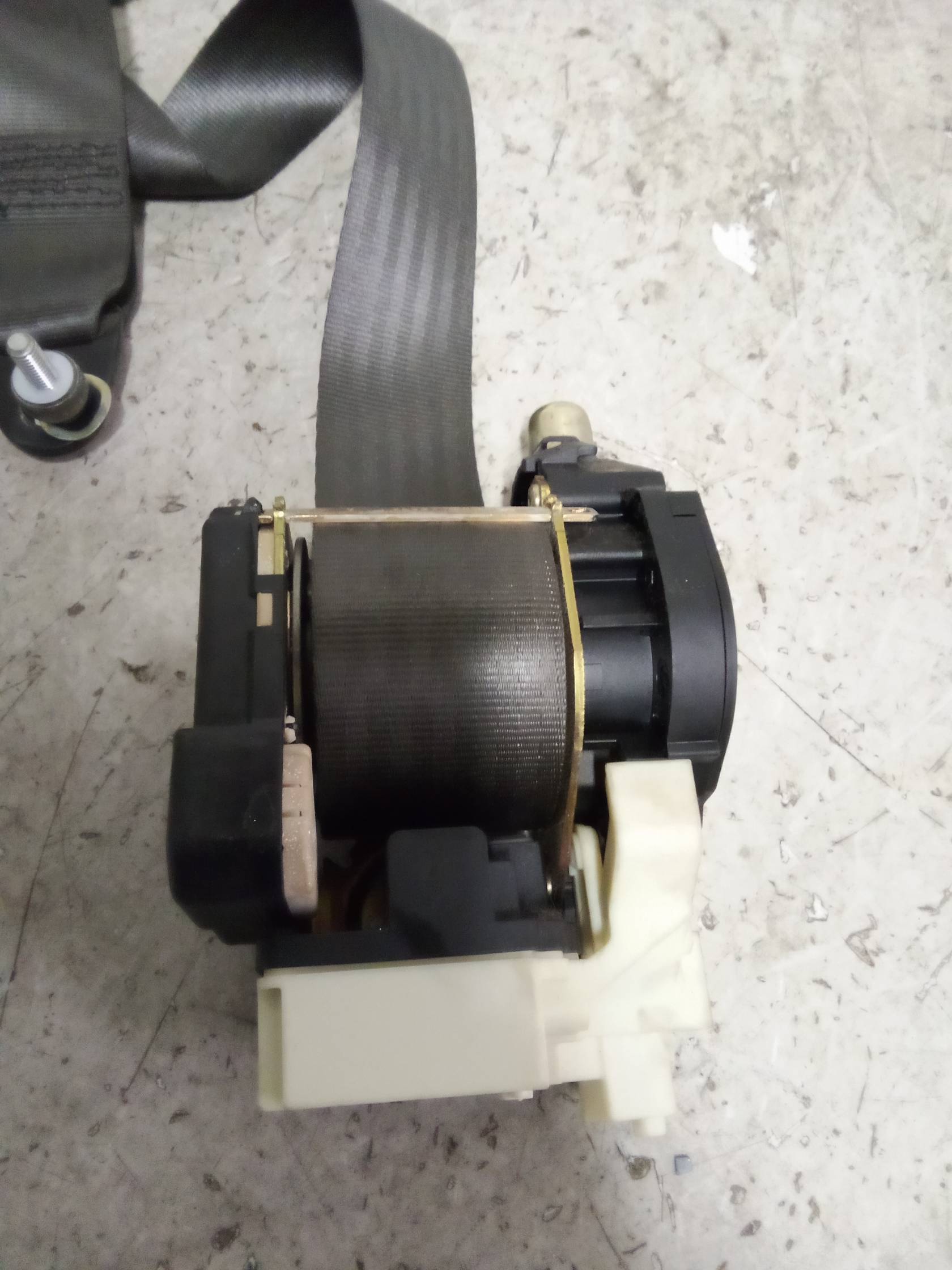 Cintura di sicurezza ant. sx.