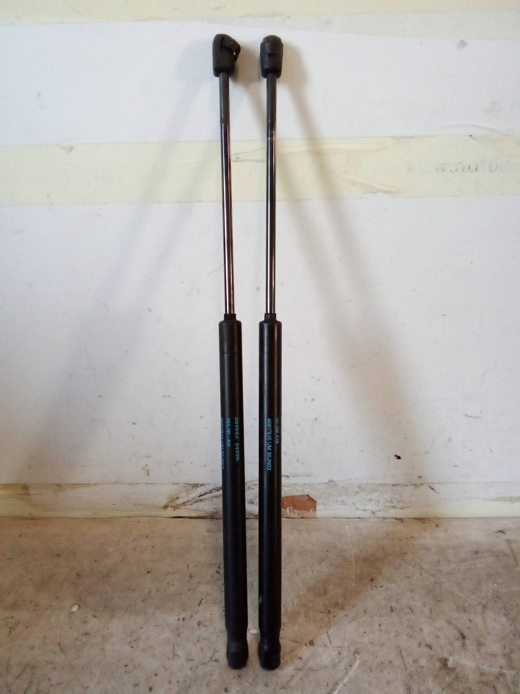 Asta ammortizzante portello post. sx.